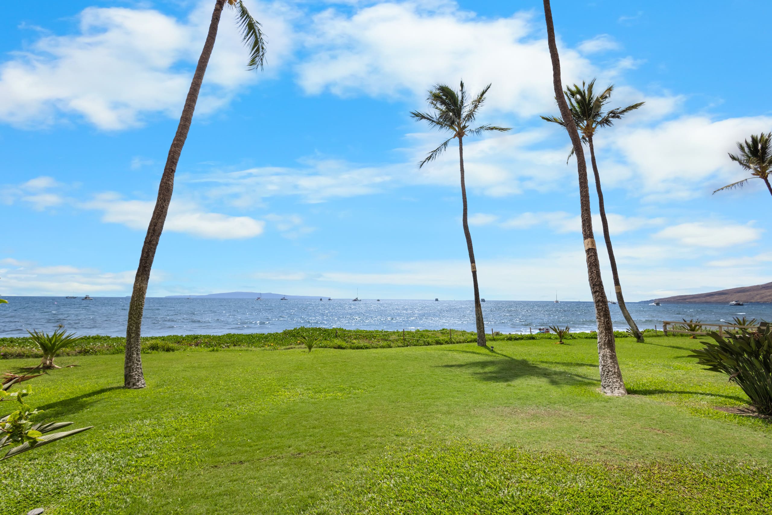 Condo in Kihei · ★5.0 · 1 bedroom · 2 beds · 1 bath - Image 30