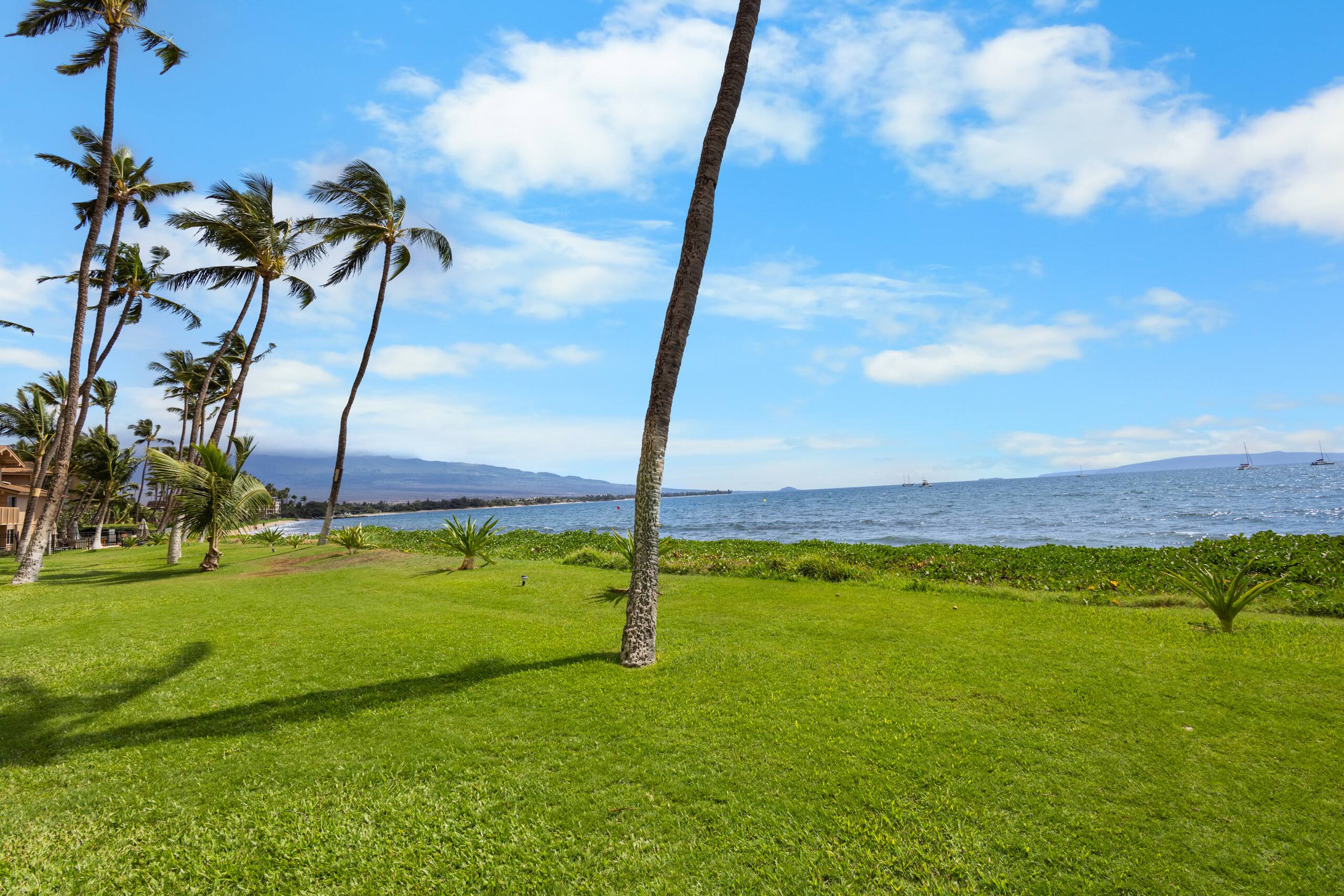 Condo in Kihei · ★5.0 · 1 bedroom · 2 beds · 1 bath - Image 29