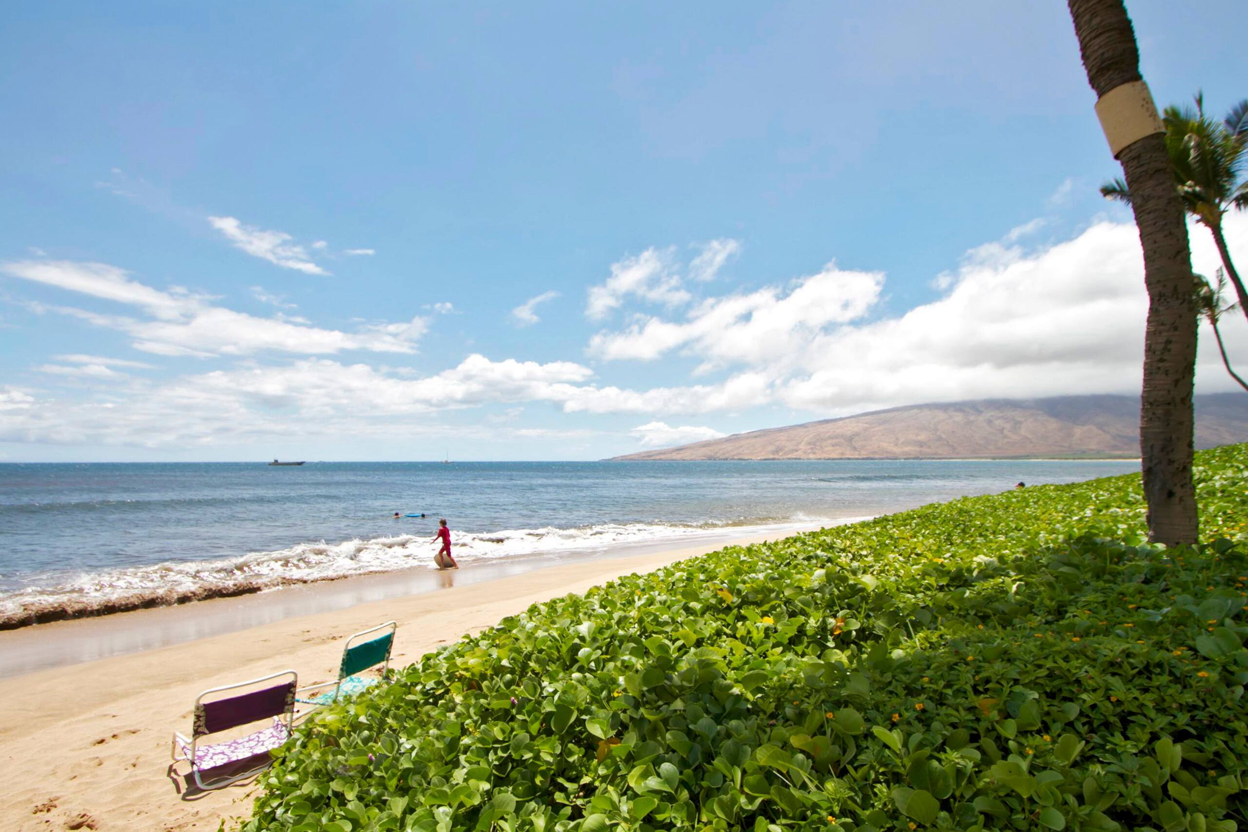 Condo in Kihei · ★5.0 · 1 bedroom · 2 beds · 1 bath - Image 56