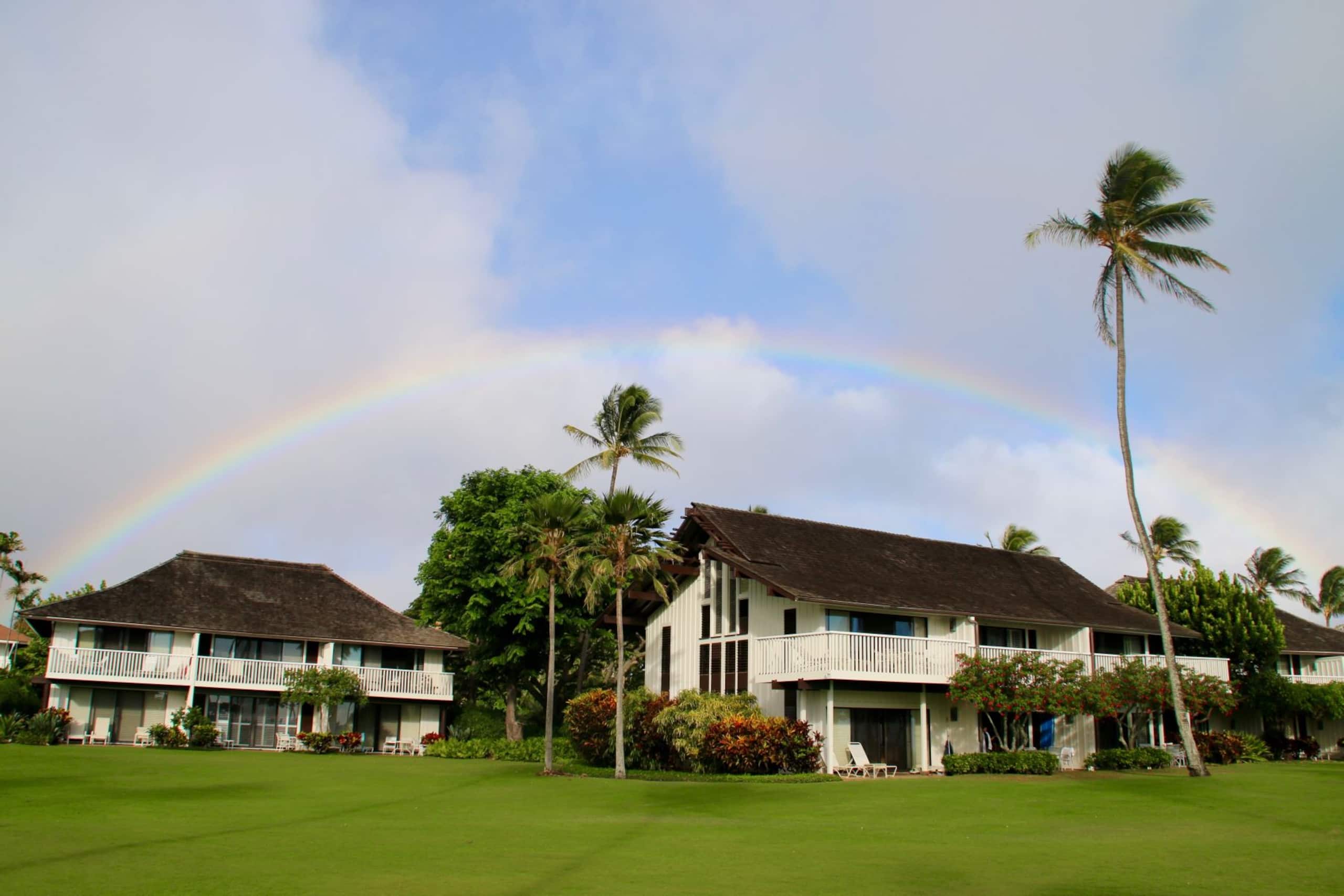 Condo in Koloa · ★4.56 · 1 bedroom · 2 beds · 1 shared bath - Image 28
