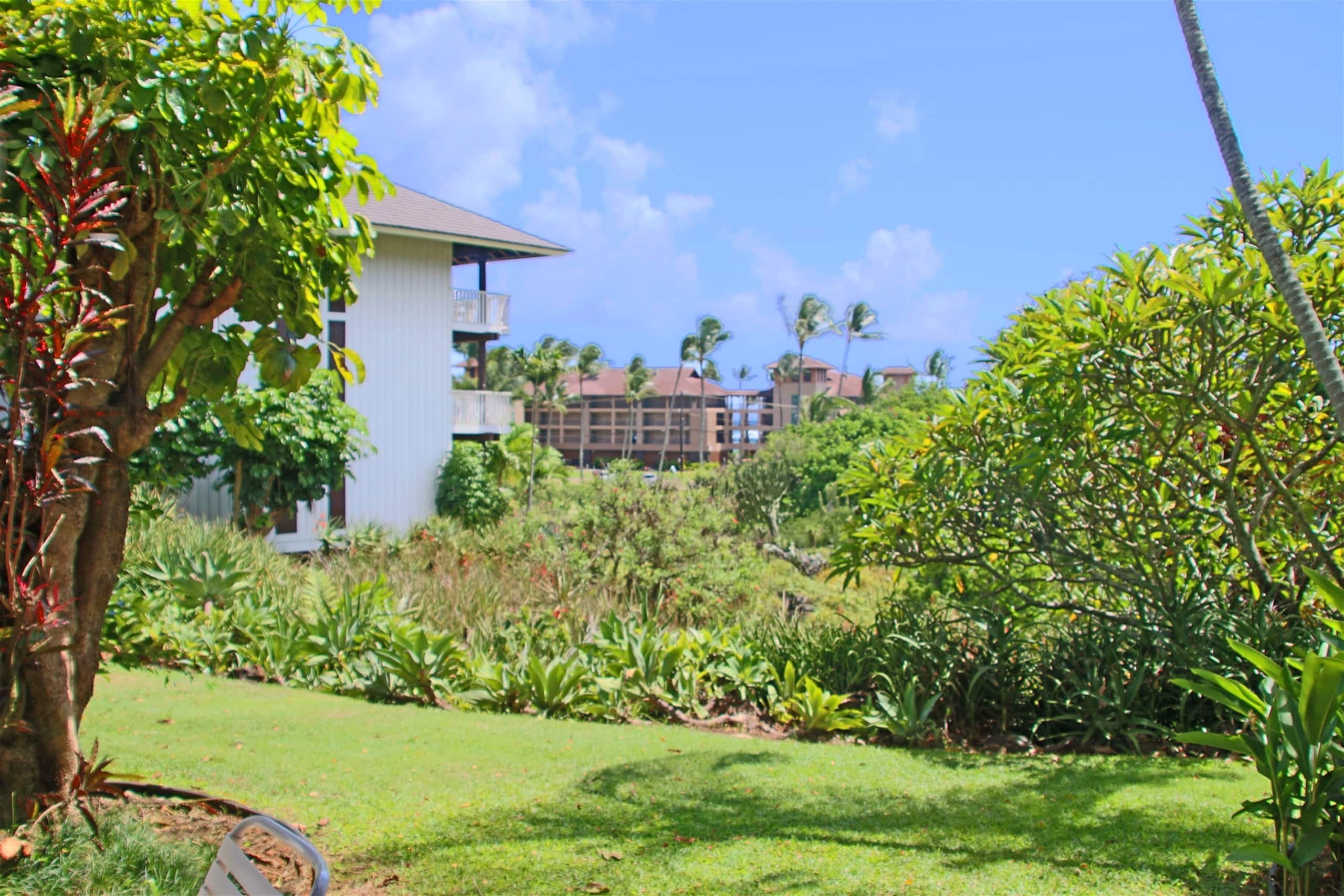 Condo in Koloa · ★4.56 · 1 bedroom · 2 beds · 1 shared bath - Image 20