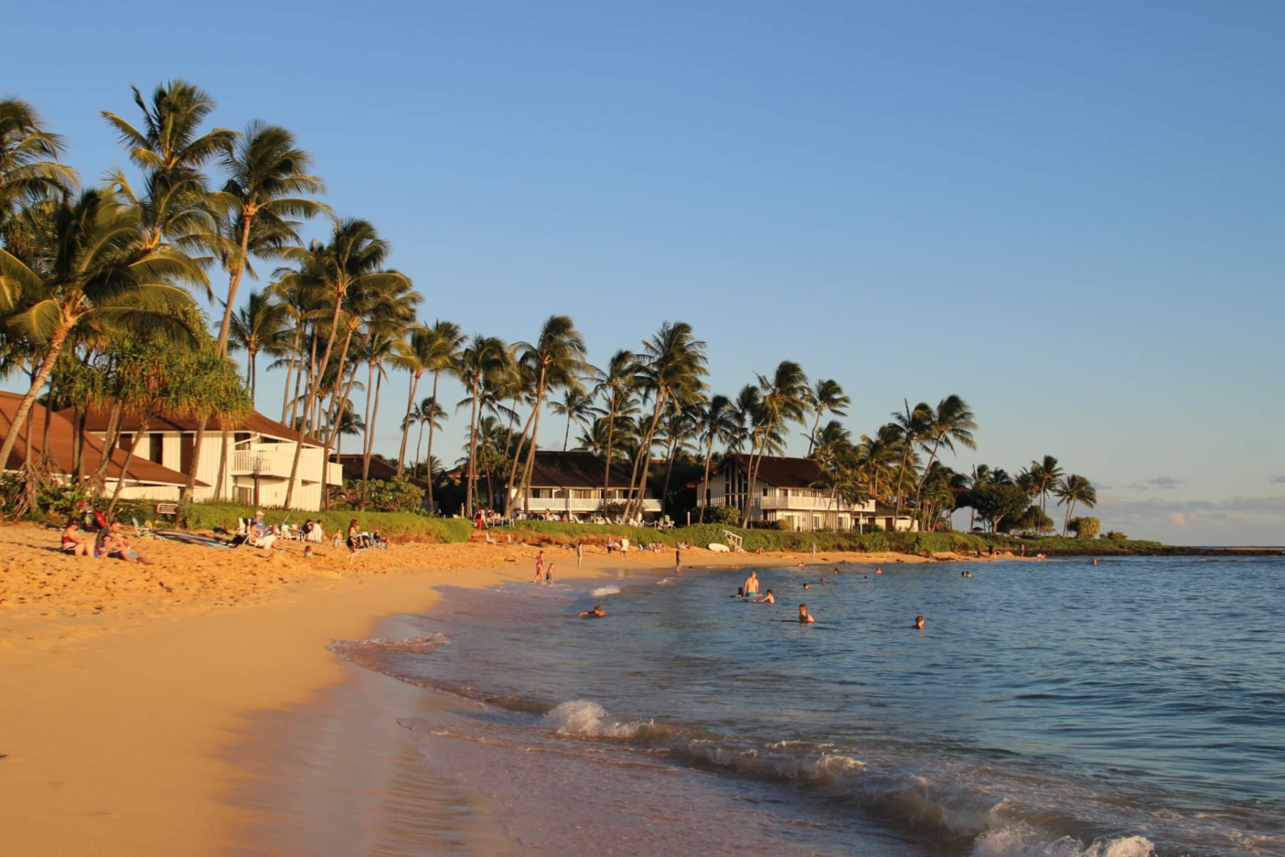 Condo in Koloa · ★4.56 · 1 bedroom · 2 beds · 1 shared bath - Image 24