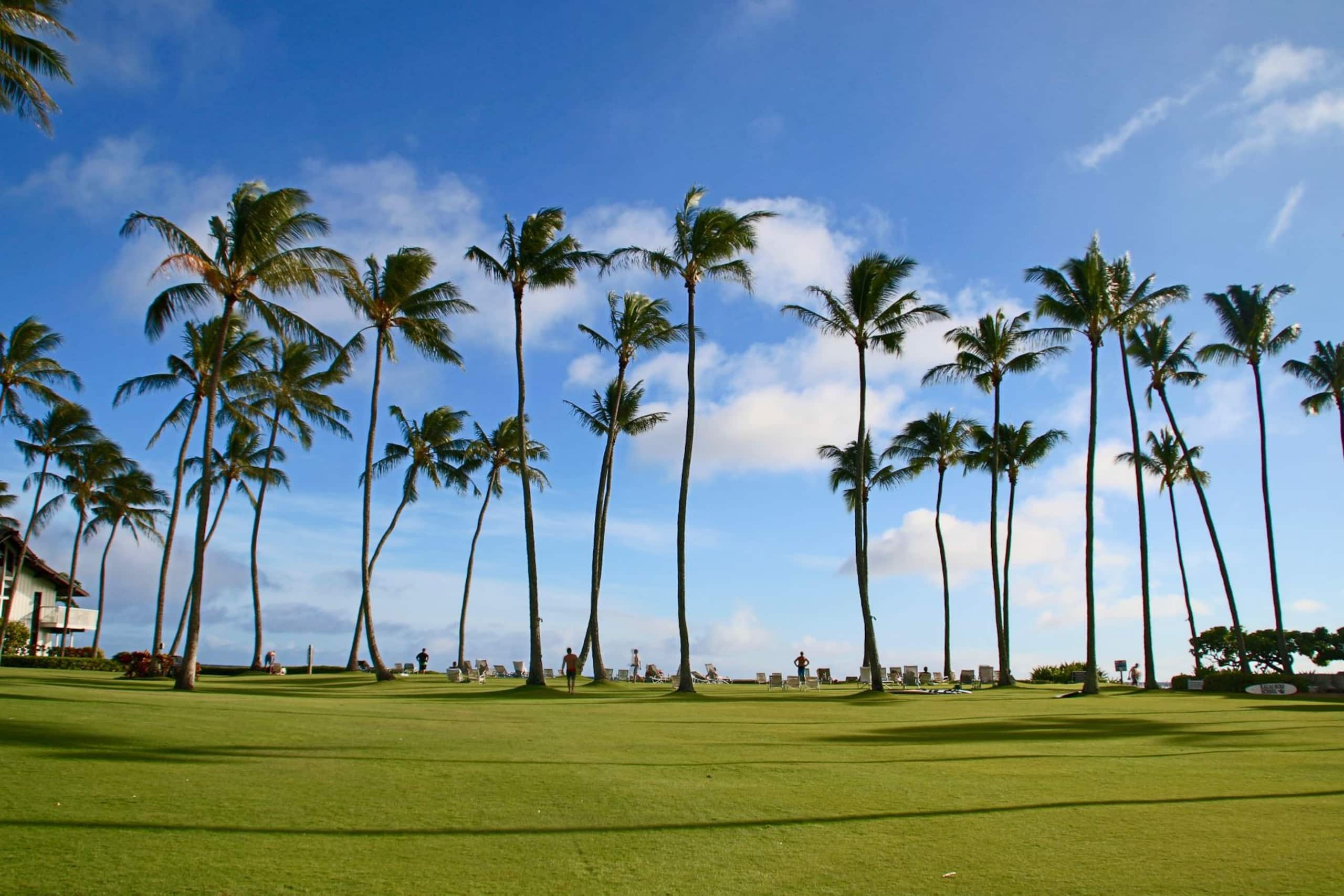 Condo in Koloa · ★4.56 · 1 bedroom · 2 beds · 1 shared bath - Image 26