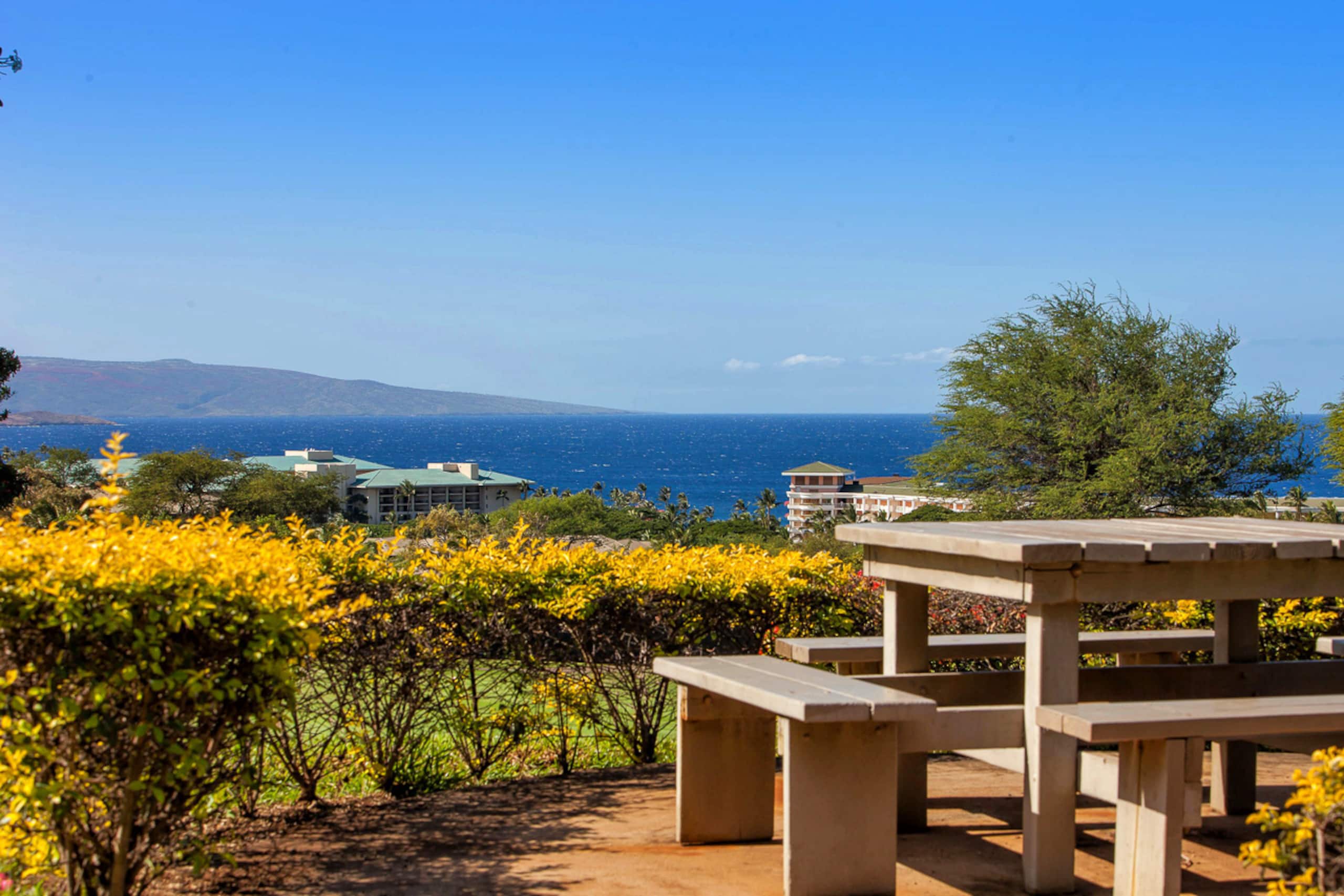 Condo in Kihei · ★4.8 · 2 bedrooms · 4 beds · 2 shared baths - Image 49