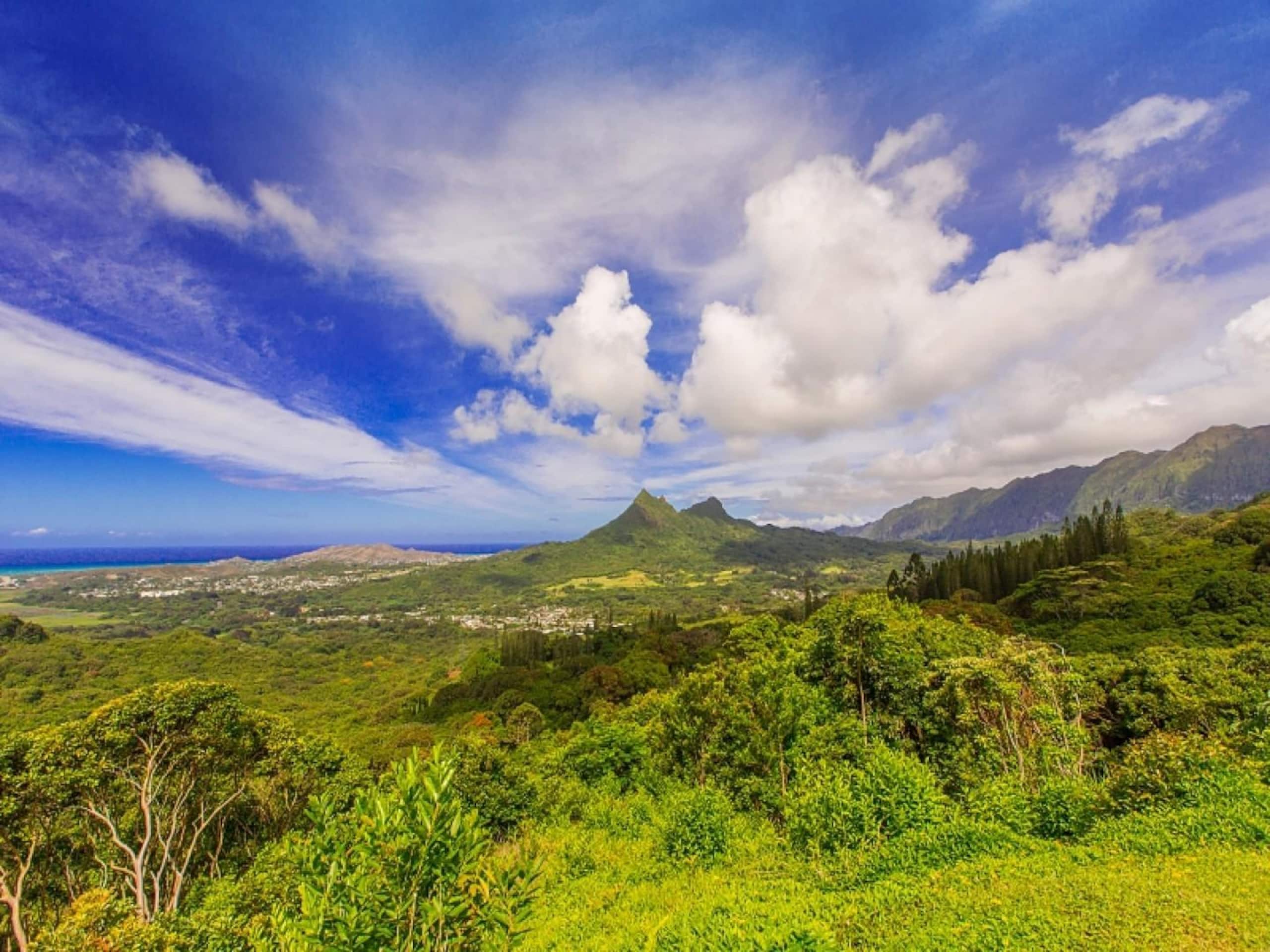 Home in Kailua · ★4.73 · 1 bedroom · 1 bed · 1 shared bath - Image 16