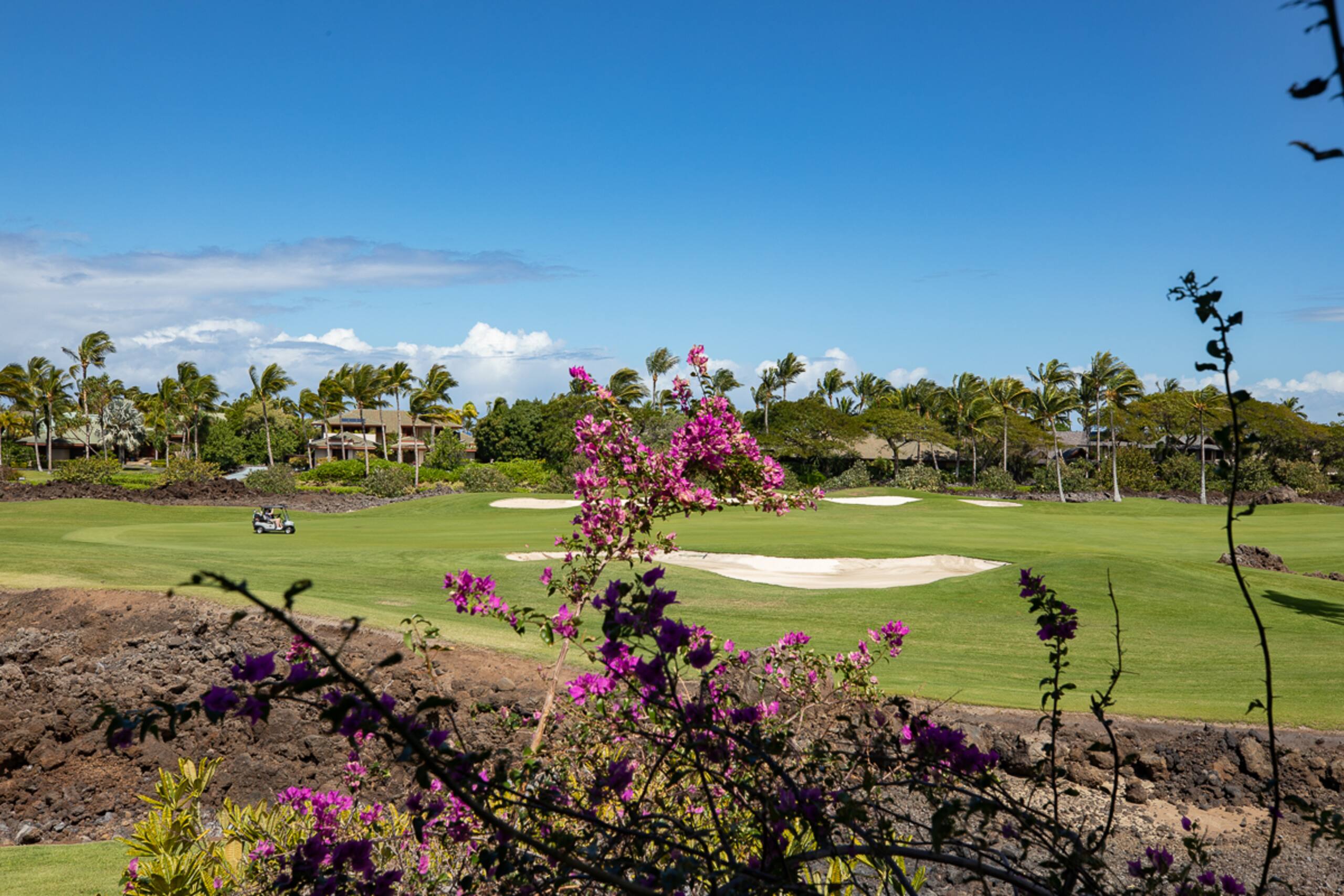 Condo in Waimea · ★4.91 · 3 bedrooms · 3 beds · 3 baths - Image 23