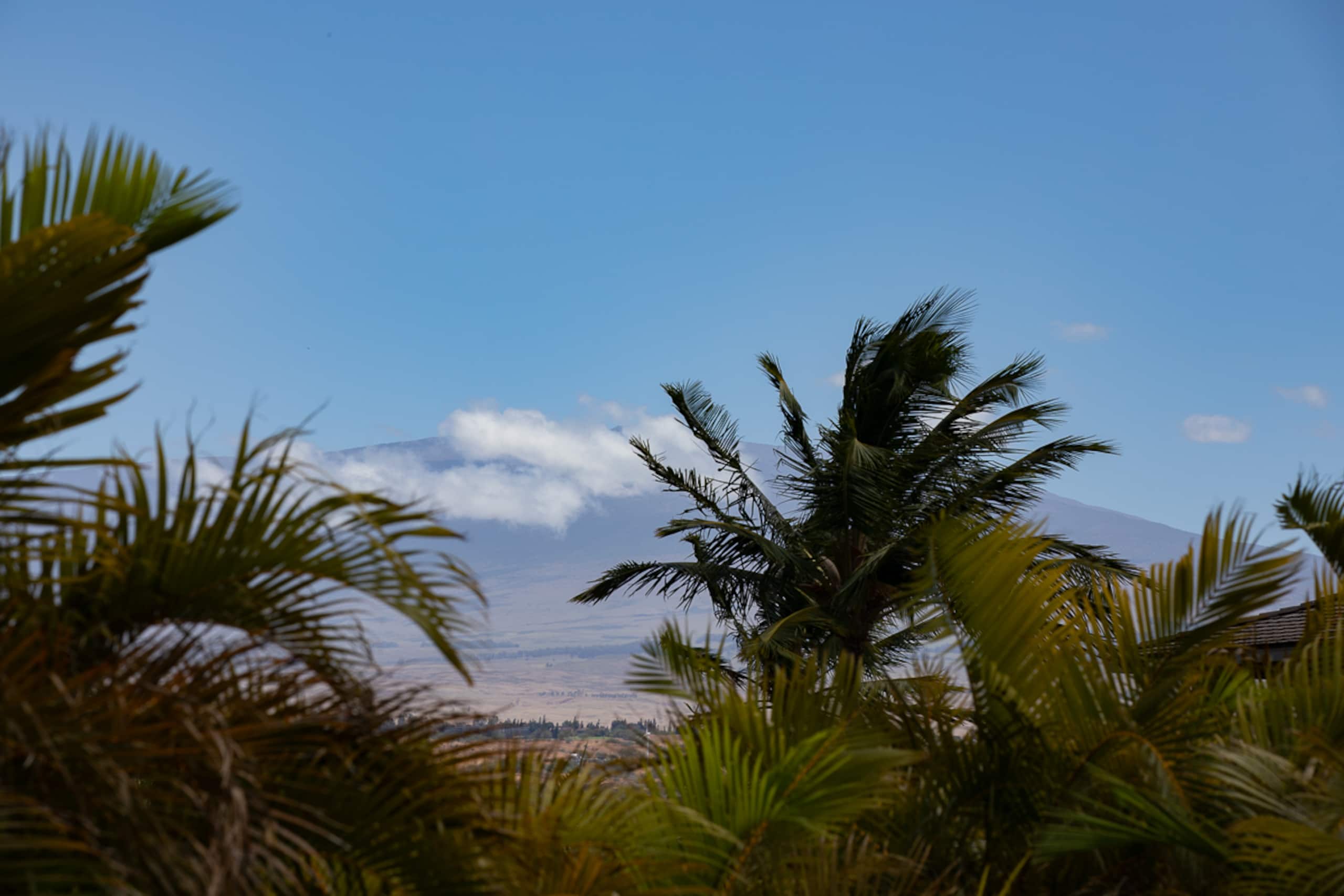Home in Waimea · ★4.78 · 3 bedrooms · 3 beds · 3 baths - Image 11
