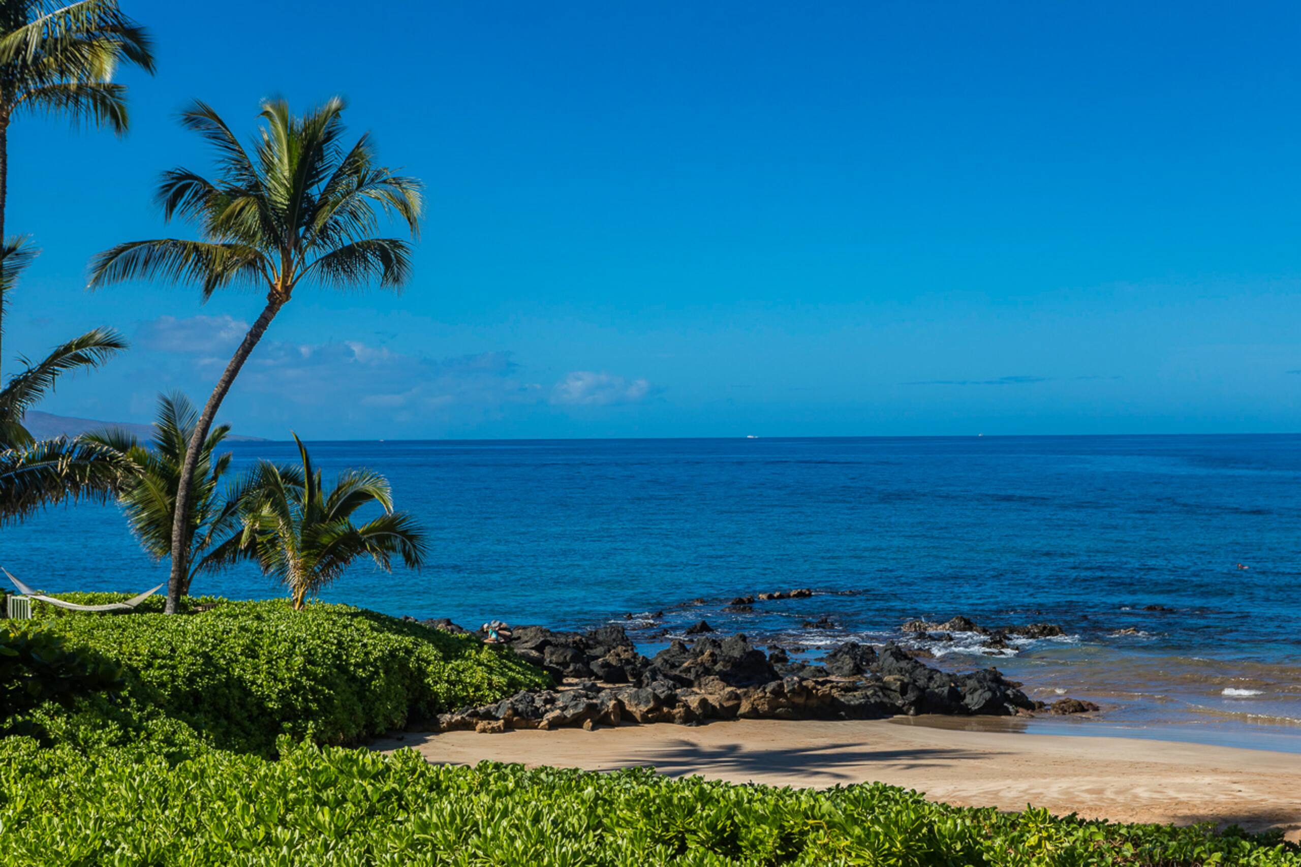 Condo in Kihei · ★4.95 · 2 bedrooms · 4 beds · 2 baths - Image 53