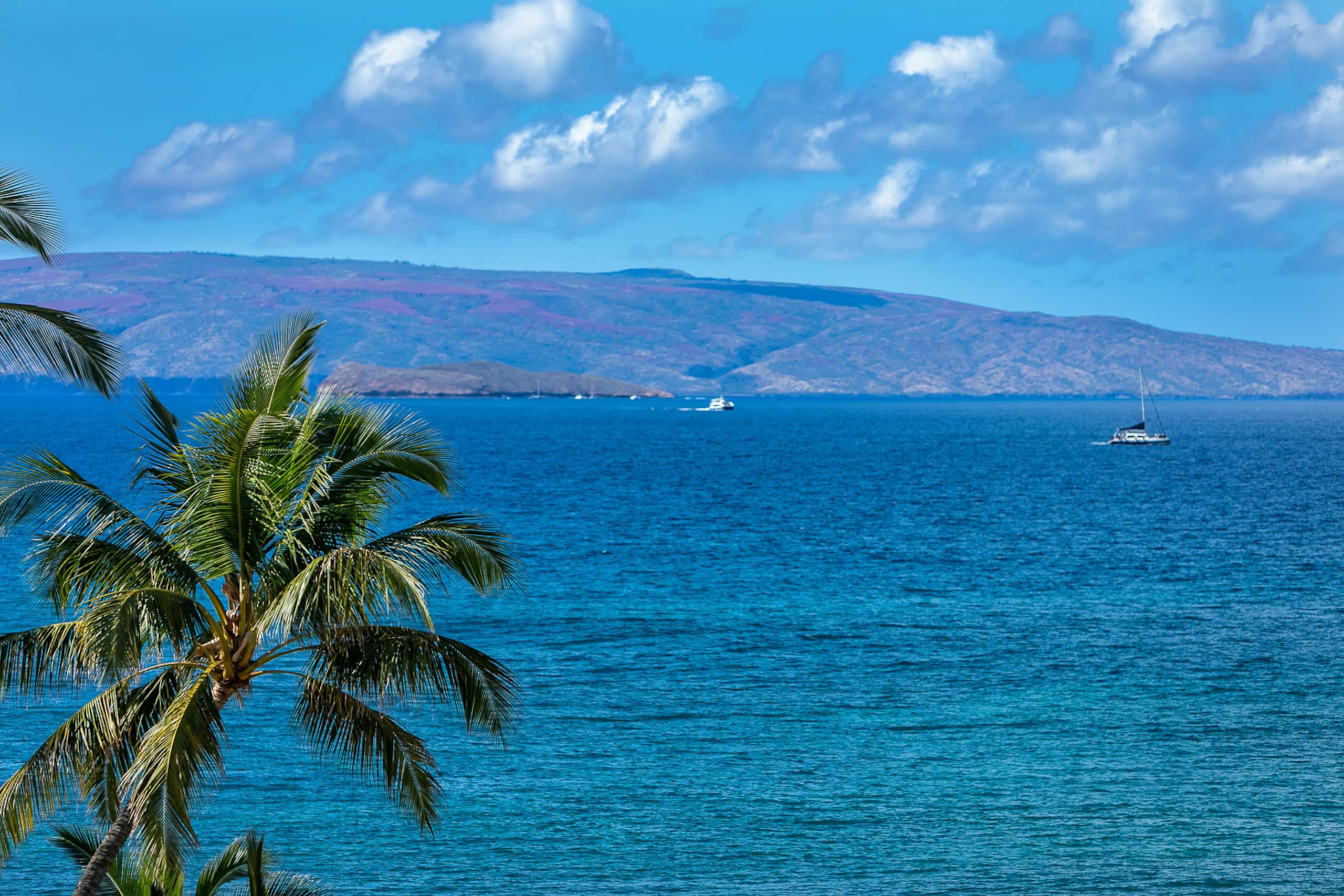Condo in Kihei · ★4.95 · 2 bedrooms · 4 beds · 2 baths - Image 33