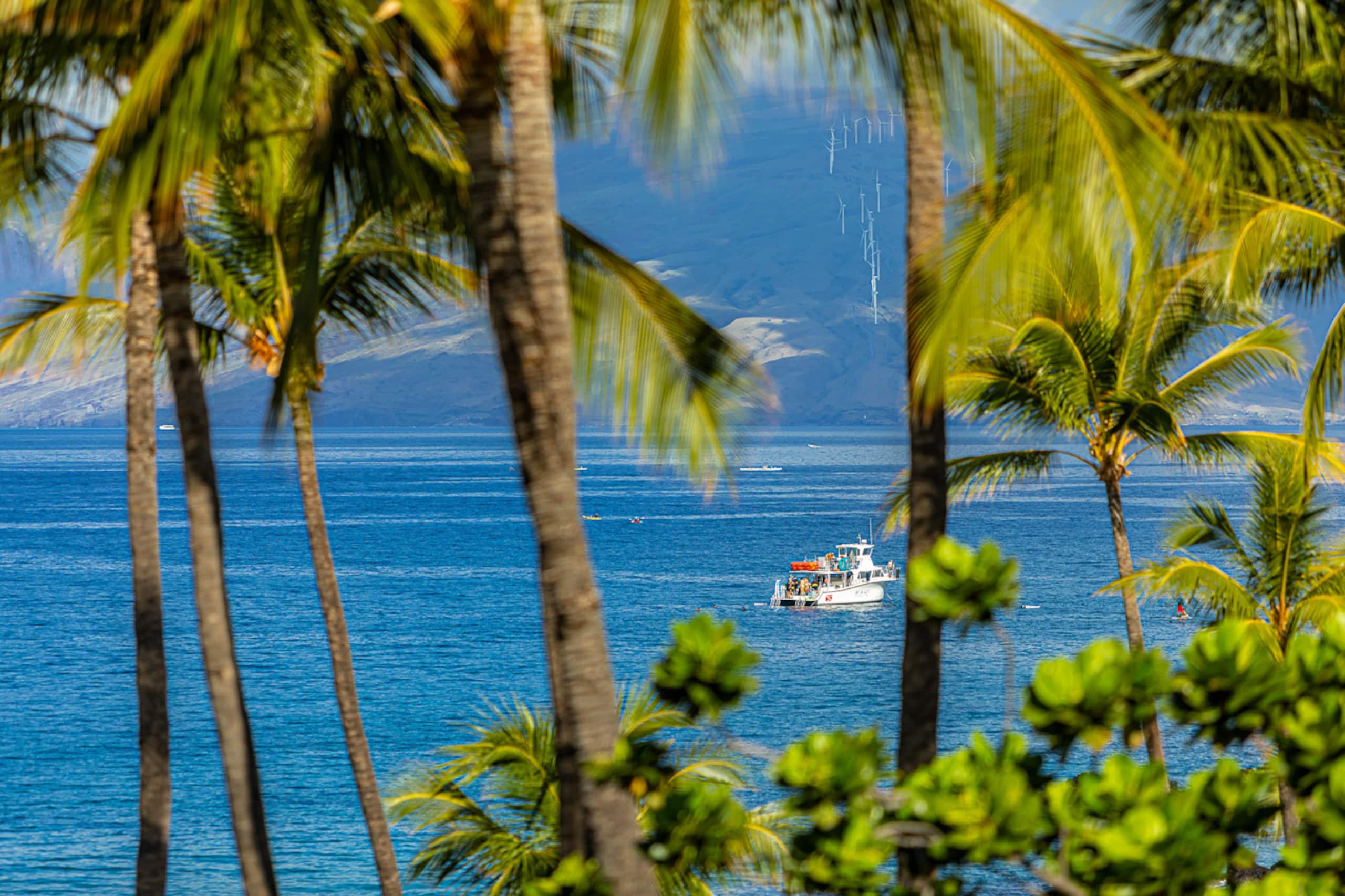 Condo in Kihei · ★4.95 · 2 bedrooms · 4 beds · 2 baths - Image 52