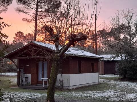 Chalet 5 - Quiet on the edge of the Ciron