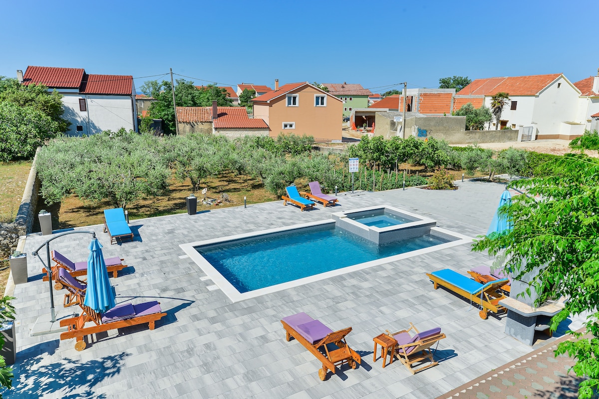 A shared swimming pool is surrounded by loungers and umbrellas, set in a spacious courtyard with olive trees. The pool area features a mix of blue and purple seating, with a calming tiled deck reflecting the sunny sky.
