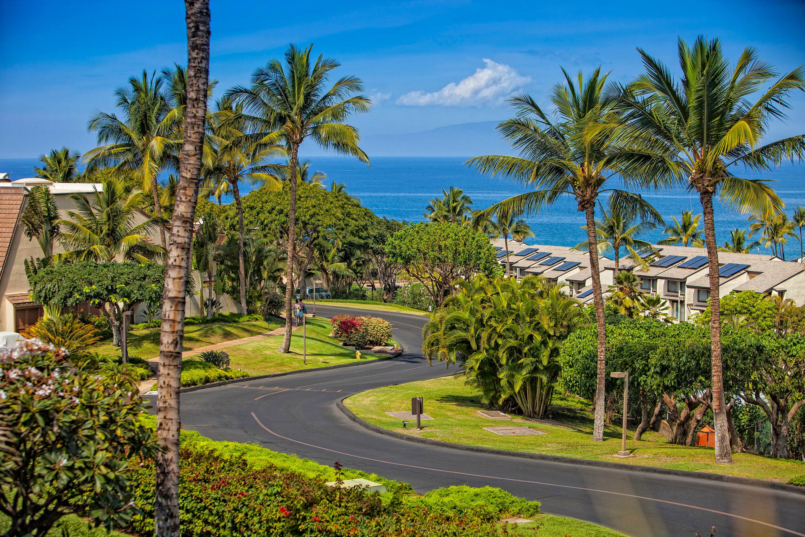 Condo in Kihei · ★5.0 · 2 bedrooms · 2 beds · 2 baths - Image 52