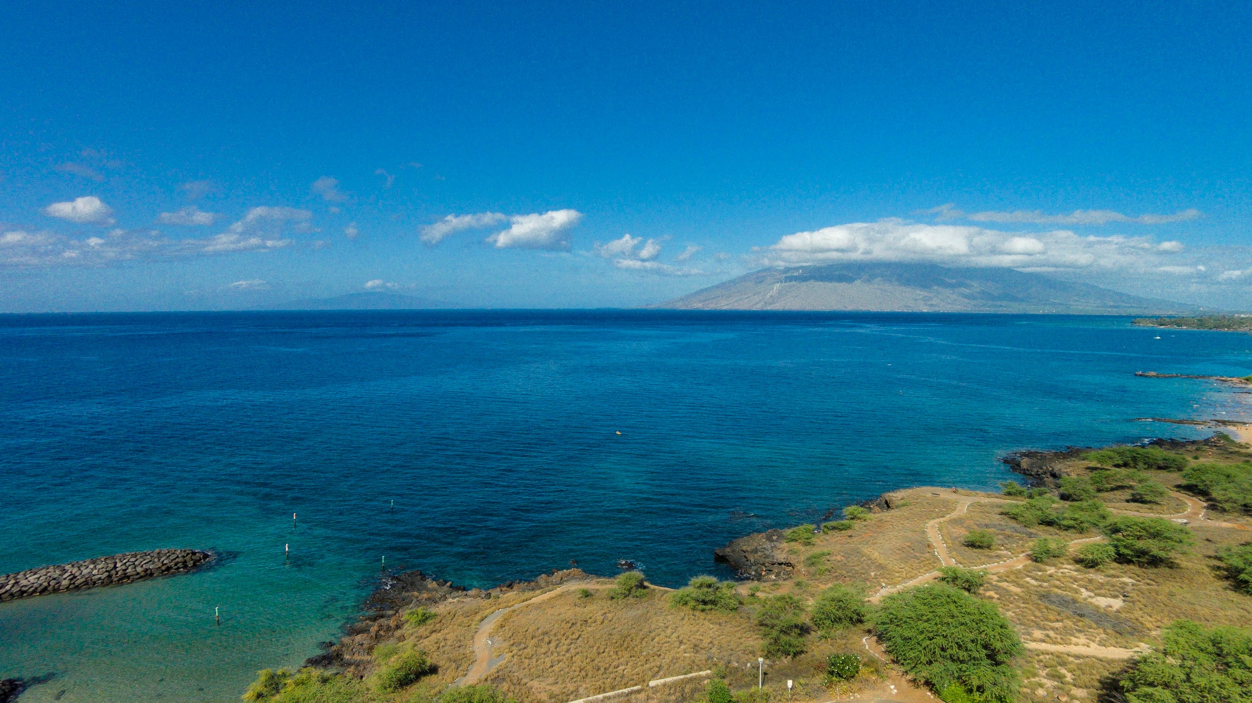 Condo in Kihei · ★5.0 · 2 bedrooms · 2 beds · 2 baths - Image 50