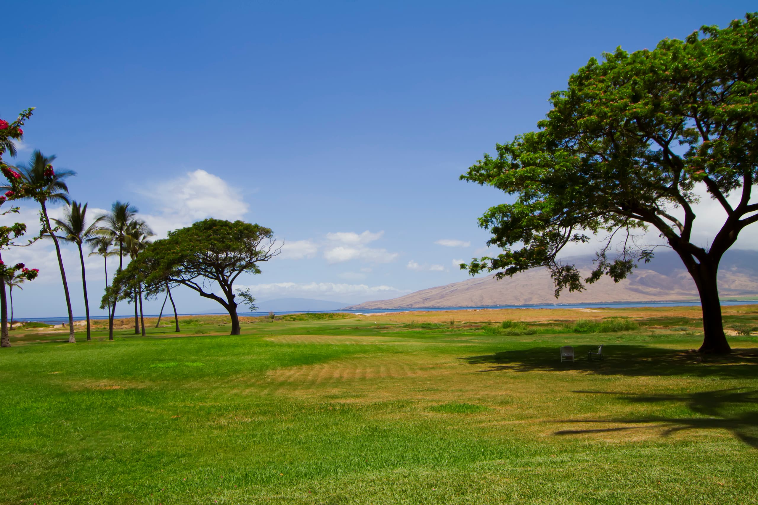Condo in Kihei · ★4.59 · 2 bedrooms · 4 beds · 2 shared baths - Image 32