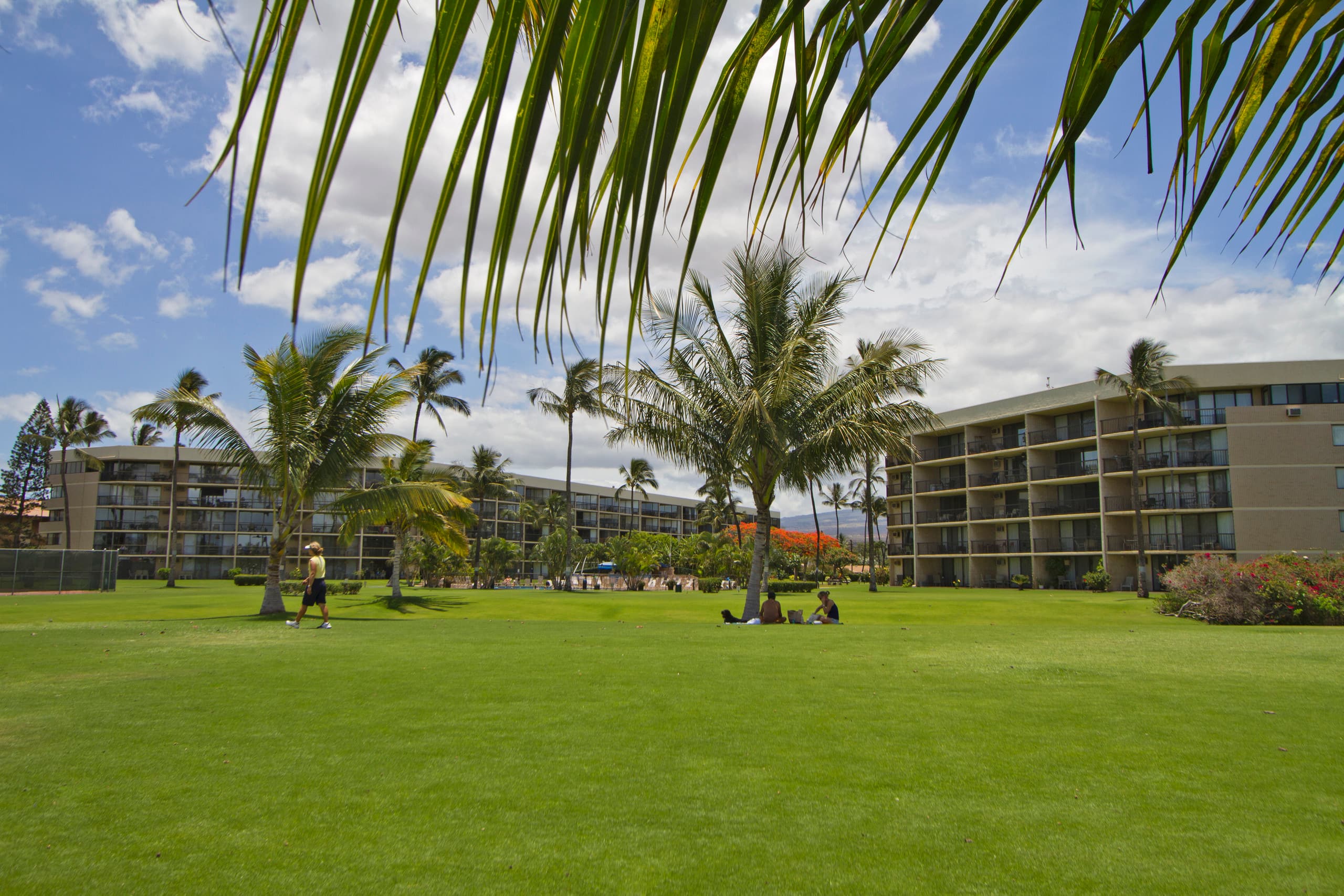 Condo in Kihei · ★4.59 · 2 bedrooms · 4 beds · 2 shared baths - Image 33