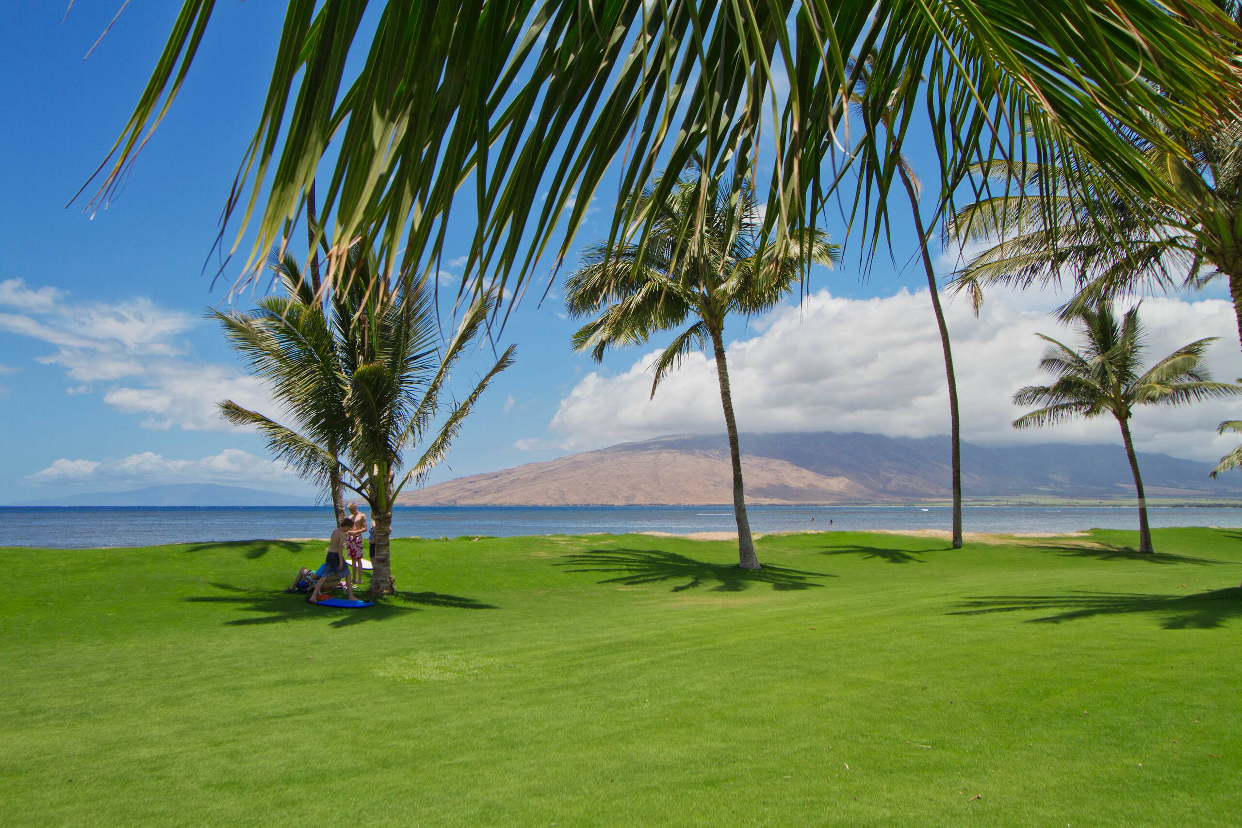 Condo in Kihei · ★4.59 · 2 bedrooms · 4 beds · 2 shared baths - Image 34