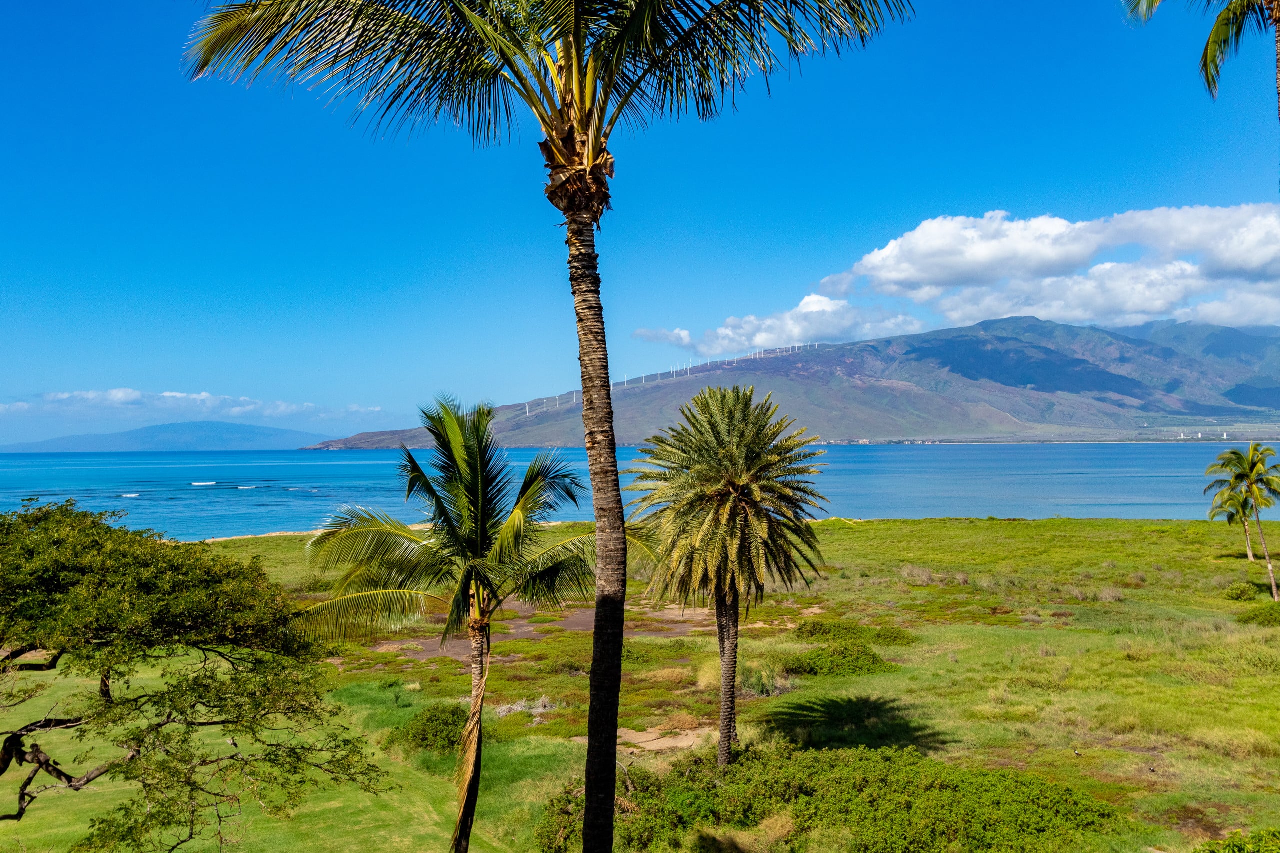 Condo in Kihei · ★4.59 · 2 bedrooms · 4 beds · 2 shared baths - Image 6