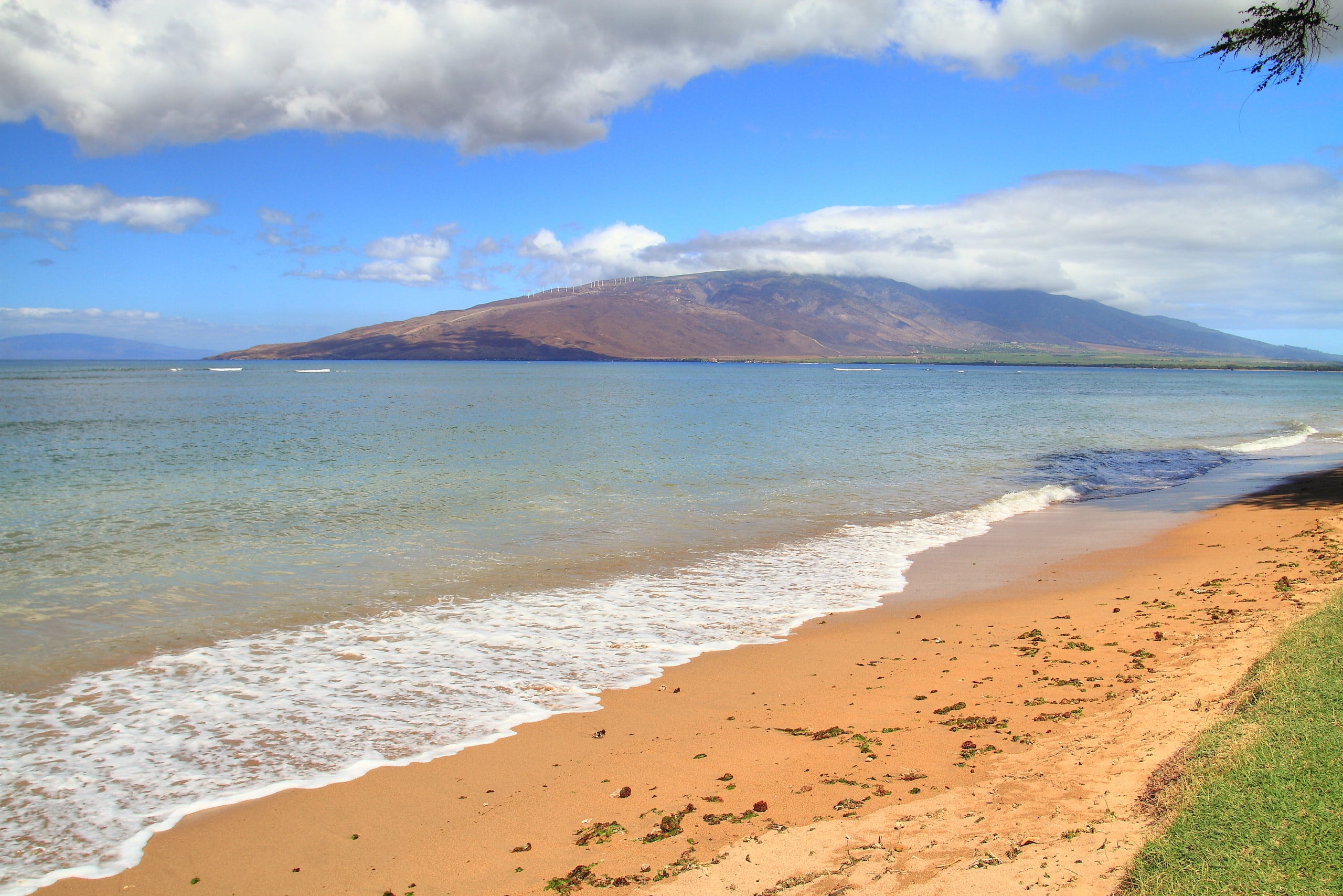 Condo in Kihei · ★4.6 · 1 bedroom · 2 beds · 1 shared bath - Image 24