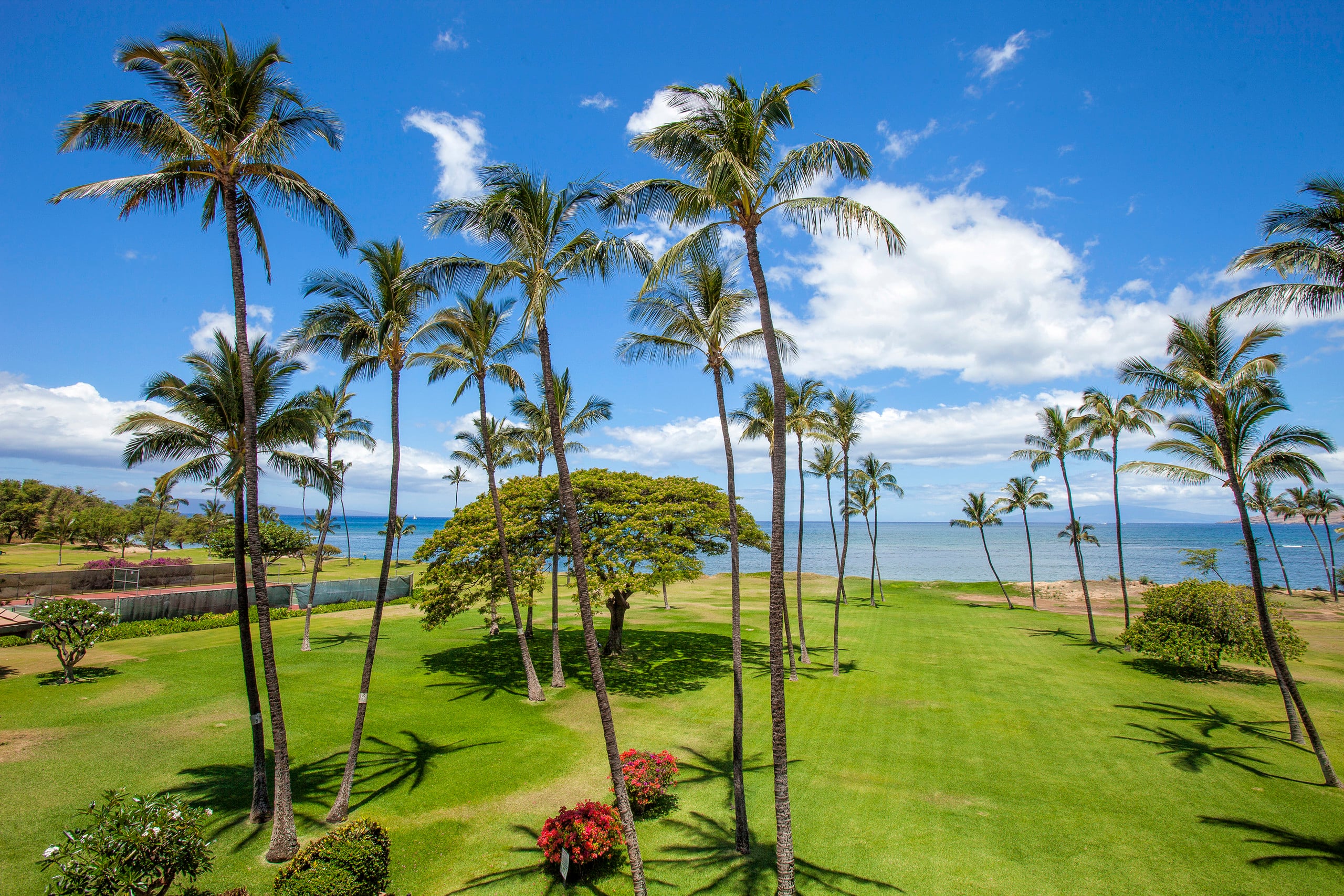 Condo in Kihei · ★4.6 · 1 bedroom · 2 beds · 1 shared bath - Image 12