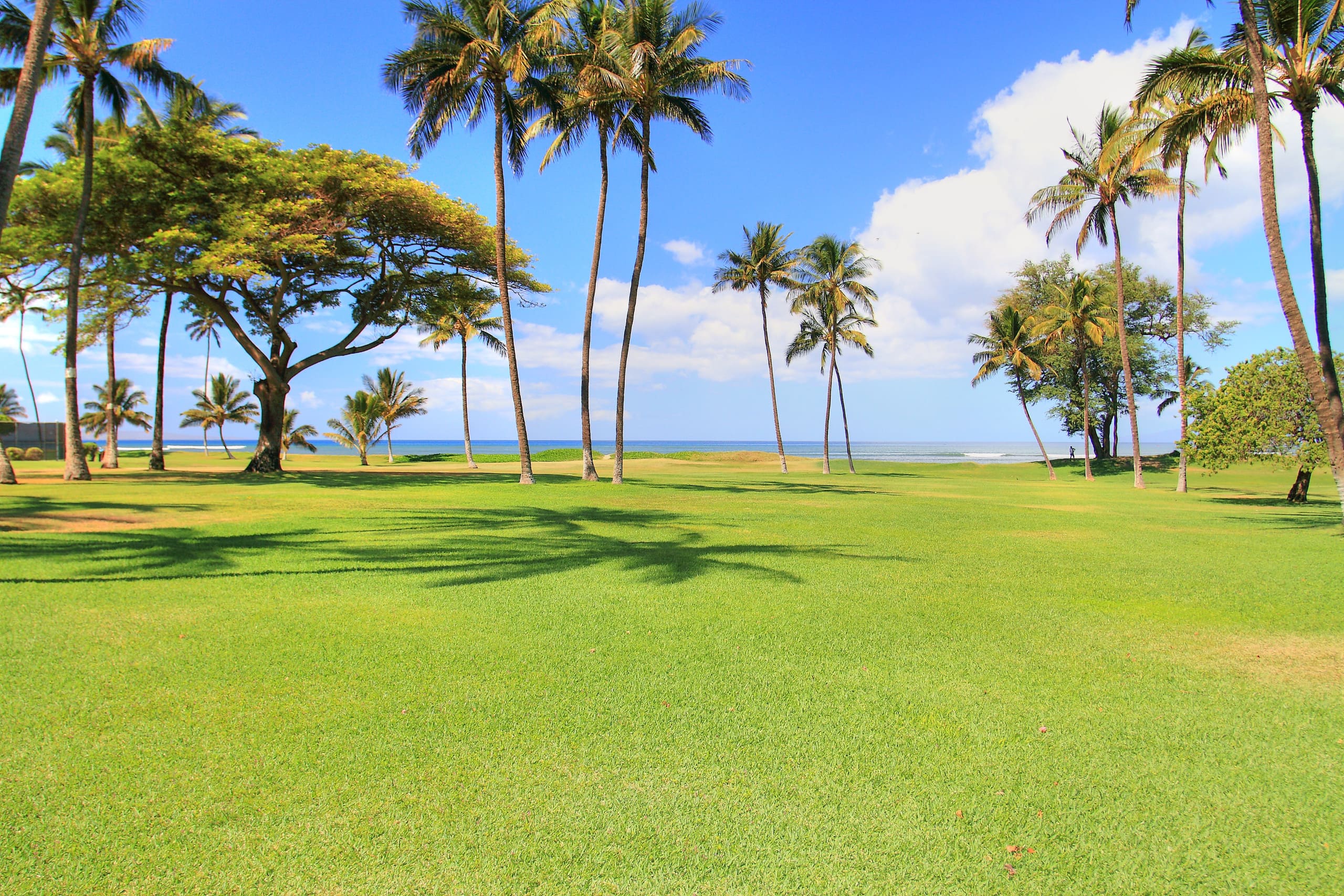 Condo in Kihei · ★4.6 · 1 bedroom · 2 beds · 1 shared bath - Image 23