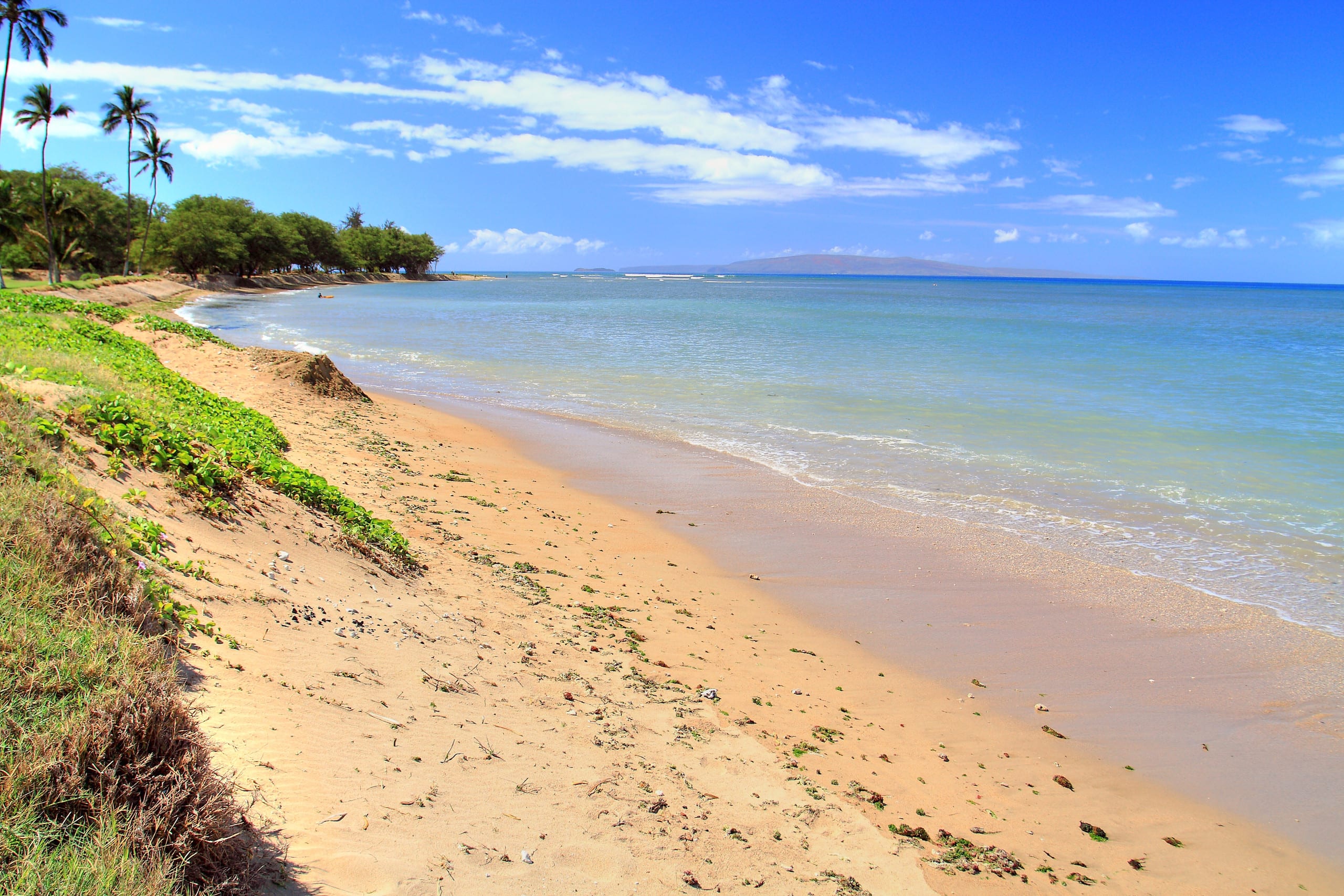 Condo in Kihei · ★4.6 · 1 bedroom · 2 beds · 1 shared bath - Image 25