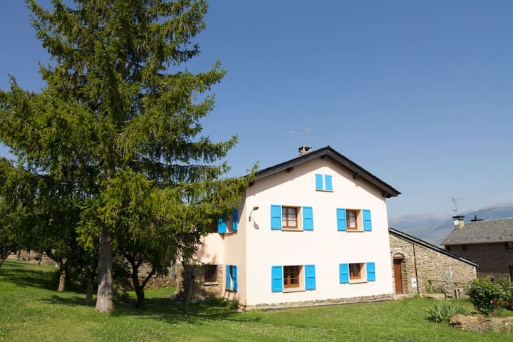 Blue House gallery image 2