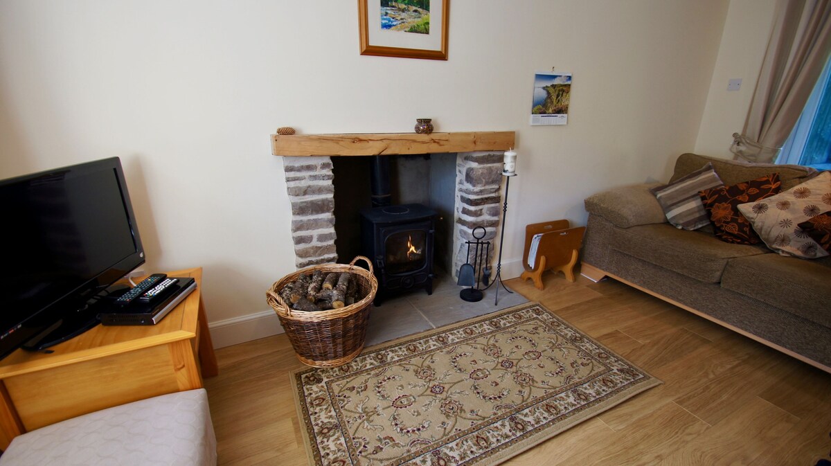 The lounge area features a stone fireplace with a log-burning stove, surrounded by a wooden mantel. A comfortable couch is positioned nearby, complemented by decorative cushions. A patterned rug lies on the floor, while an entertainment unit and a small wooden table provide practical amenities.