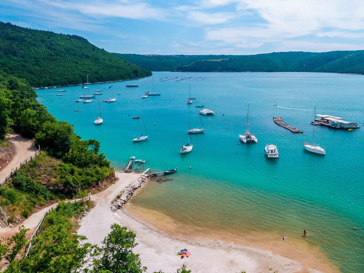 A serene coastal scene depicts a tranquil bay, with numerous sailboats anchored in calm blue waters. The shoreline features a mix of sandy beach and pebbled areas, surrounded by lush green hills. Sunbathers are seen near the water's edge, enjoying the peaceful atmosphere.