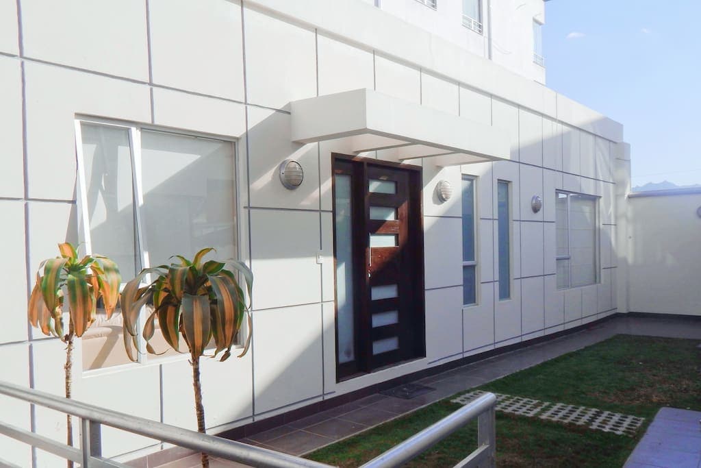 An exterior view of the modern minimalist apartment features a sleek entrance with a decorative door. Flanking the entrance are several large windows that allow natural light into the space. A small landscaped area with green plants is visible in front of the building.