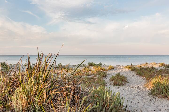 Bay Cottage—Seaside Serenity Close to Town gallery image 5