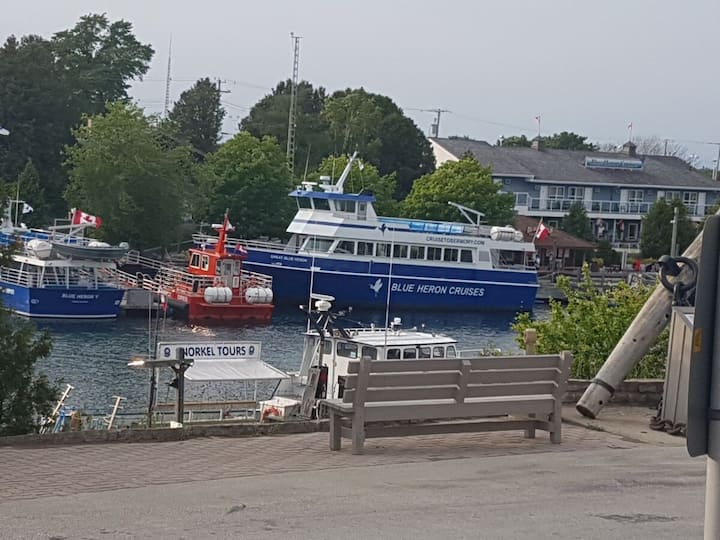 6 Best PetFriendly Airbnbs In Tobermory, Canada Updated 2024 Trip101