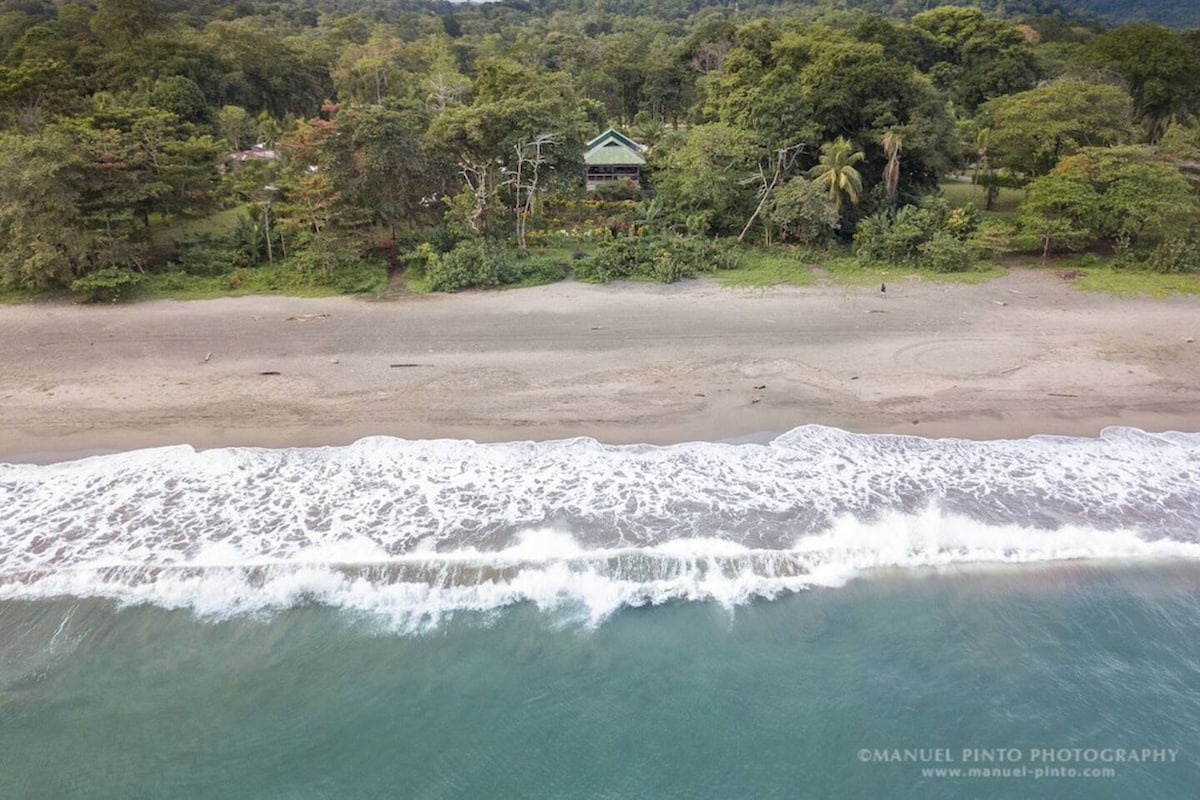 Aerial view captures a peaceful beach scene with gentle waves lapping the shore. Lush tropical greenery fringes the coastline, creating a serene backdrop. A custom-built villa is seen nestled among the trees, blending harmoniously with the natural environment.