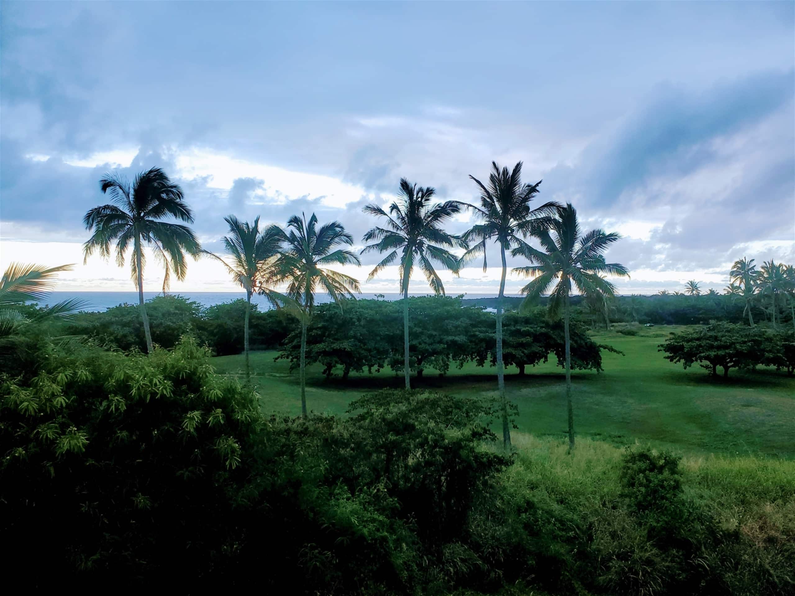 Condo in Pahala · ★4.76 · Studio · 2 beds · 1 shared bath - Image 20