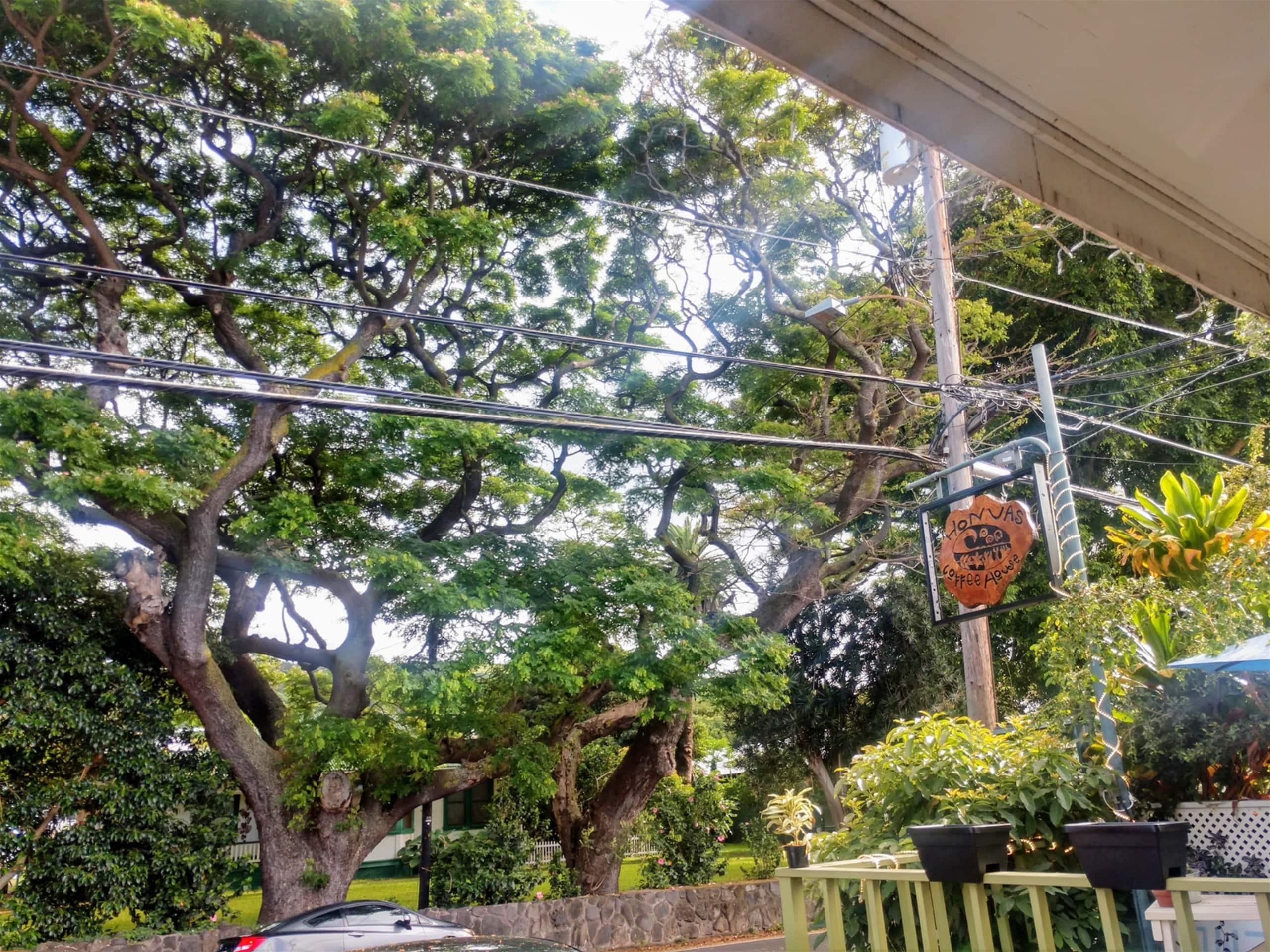 Condo in Pahala · ★4.76 · Studio · 2 beds · 1 shared bath - Image 37