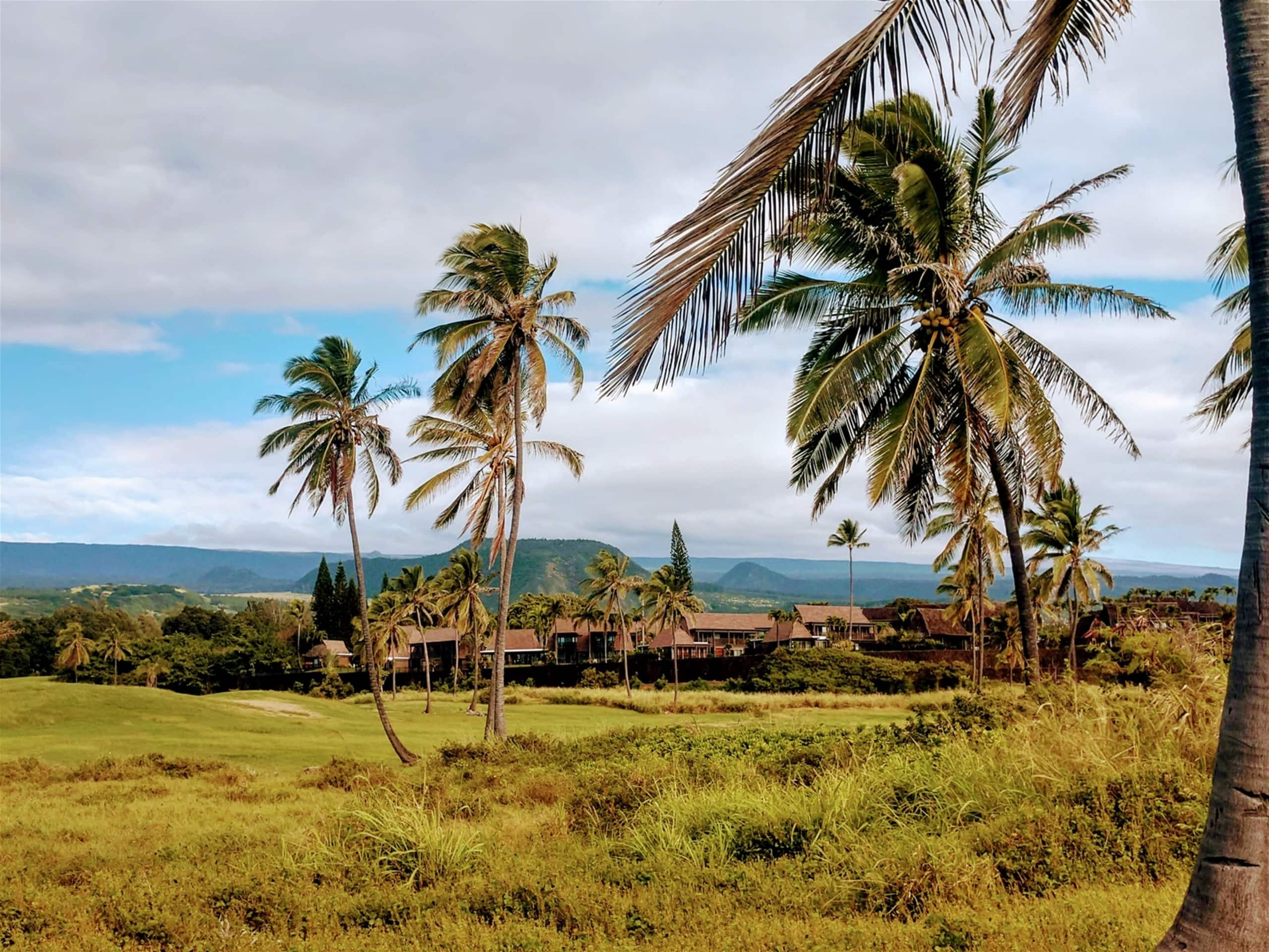 Condo in Pahala · ★4.76 · Studio · 2 beds · 1 shared bath - Image 22