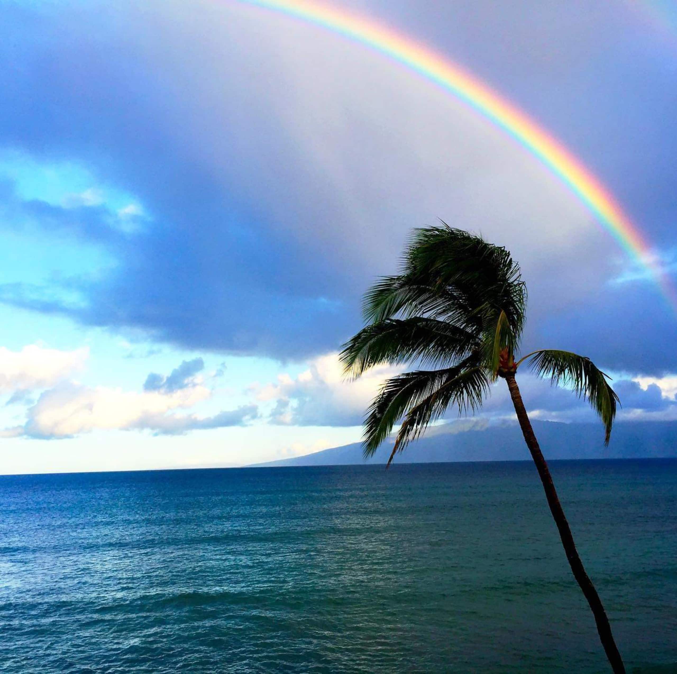 Condo in Lahaina · ★4.85 · 1 bedroom · 1 bed · 1 bath - Image 20