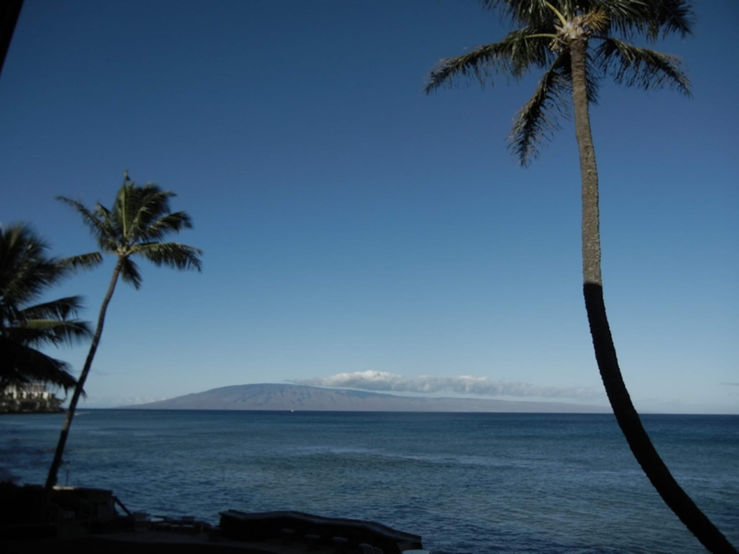 Condo in Lahaina · ★4.85 · 1 bedroom · 1 bed · 1 bath - Image 32