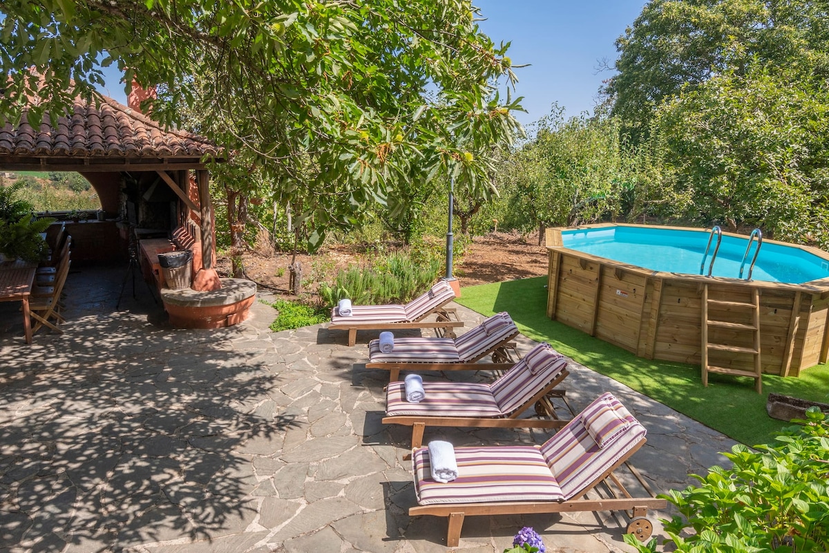 A serene outdoor area features multiple loungers with striped cushions beside a circular wooden pool. A shaded barbecue area is nearby, surrounded by greenery, contributing to a relaxed atmosphere. Natural light filters through tree branches, enhancing the inviting setting.