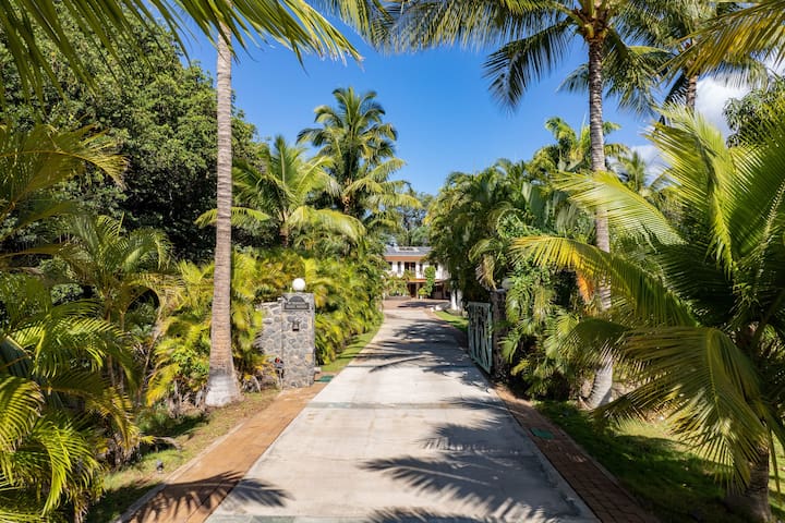 Aloha Aku Ohana Suite – Spacious Garden View Oasis