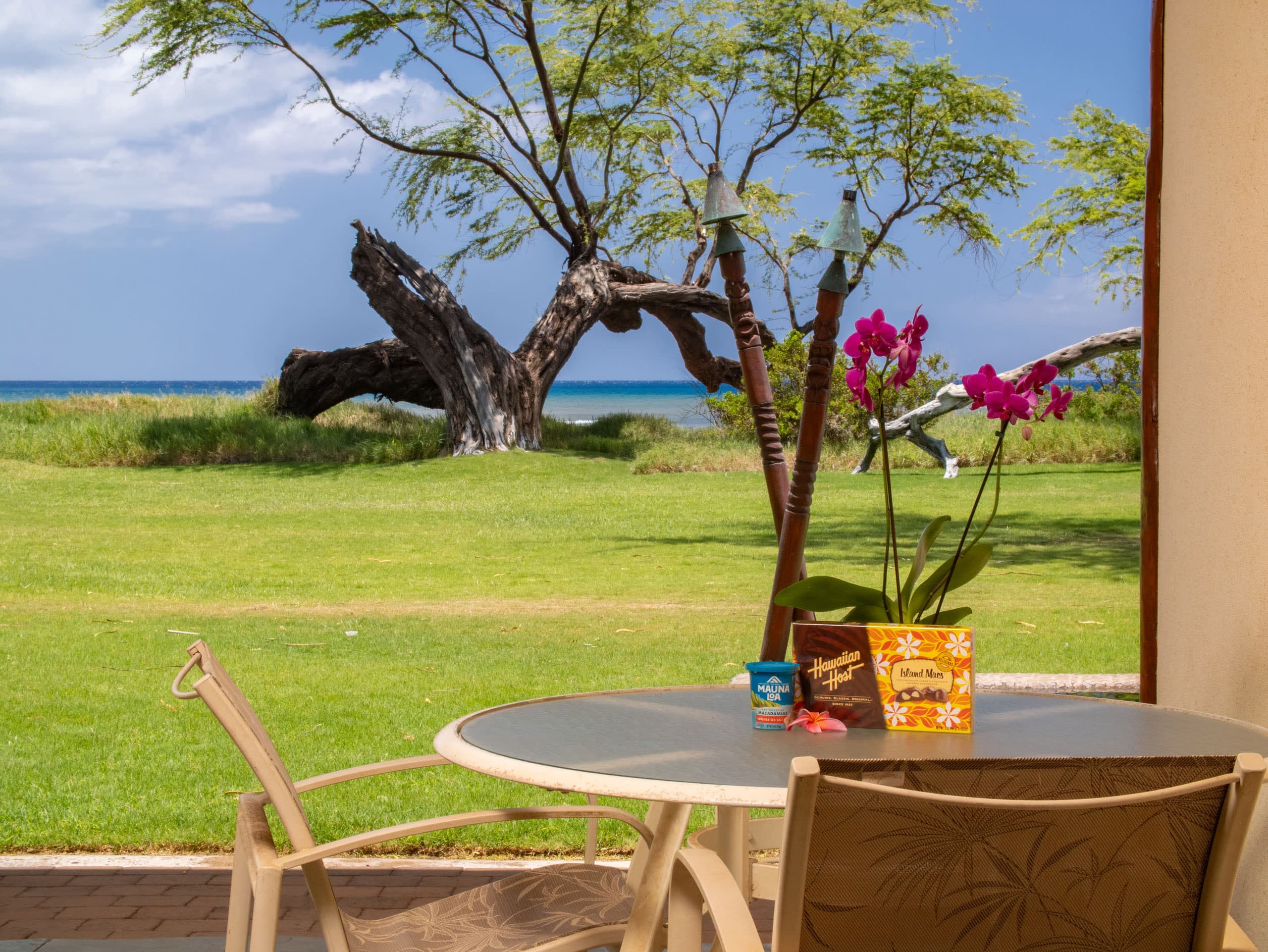 Home in Kihei · ★4.93 · 1 bedroom · 2 beds · 1 bath - Image 1