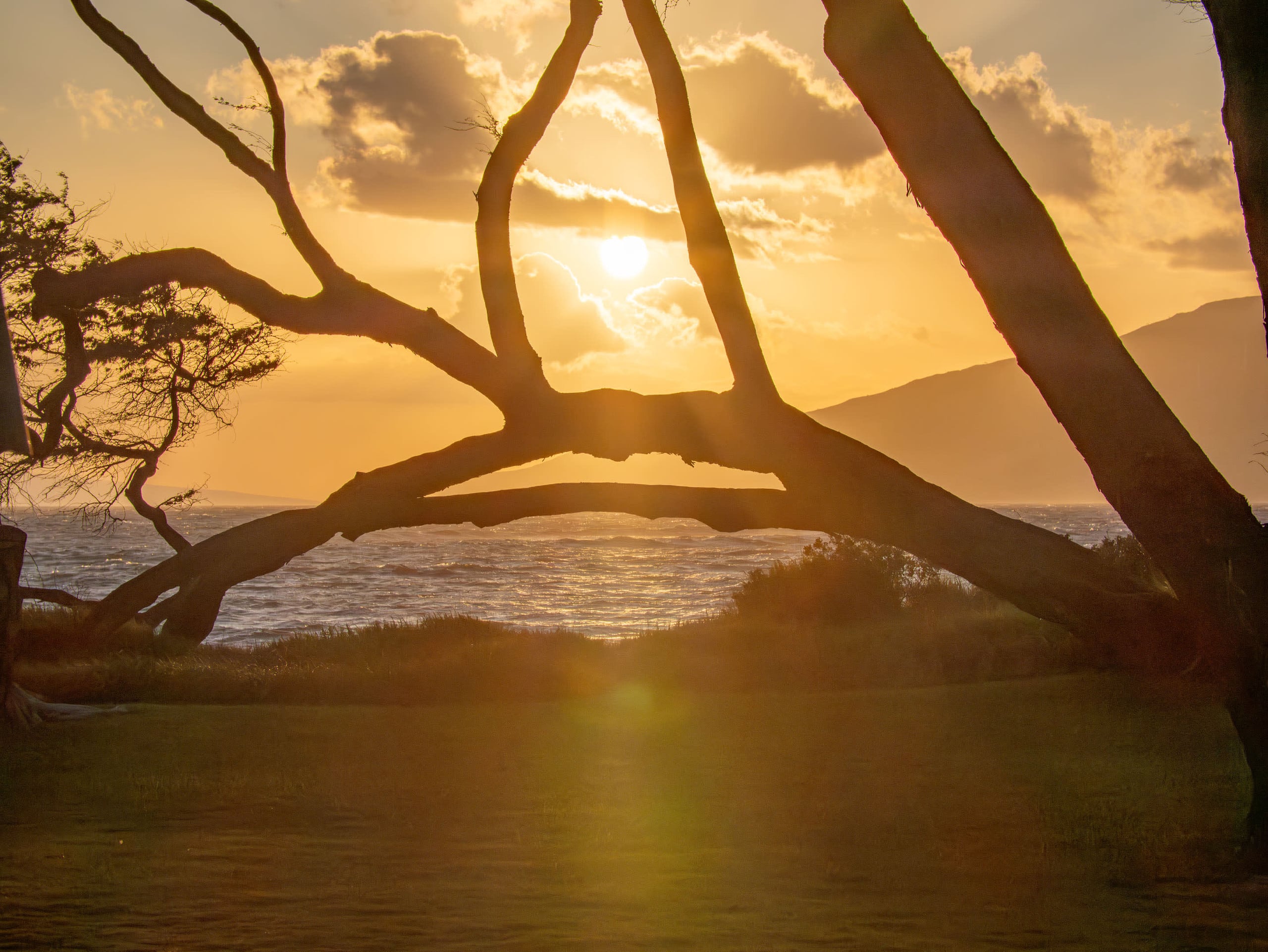 Home in Kihei · ★4.93 · 1 bedroom · 2 beds · 1 bath - Image 6