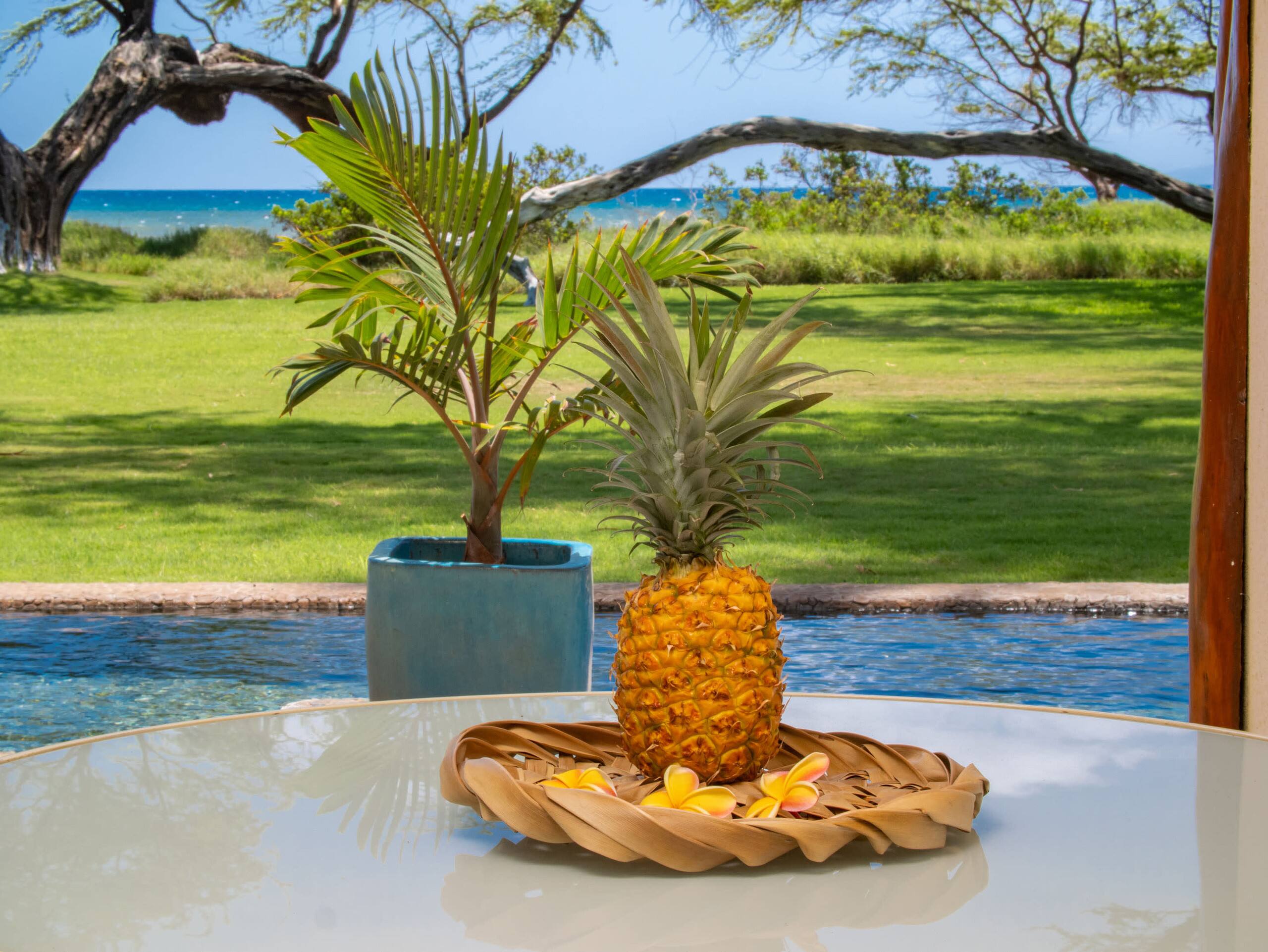Home in Kihei · ★4.93 · 1 bedroom · 2 beds · 1 bath - Image 11