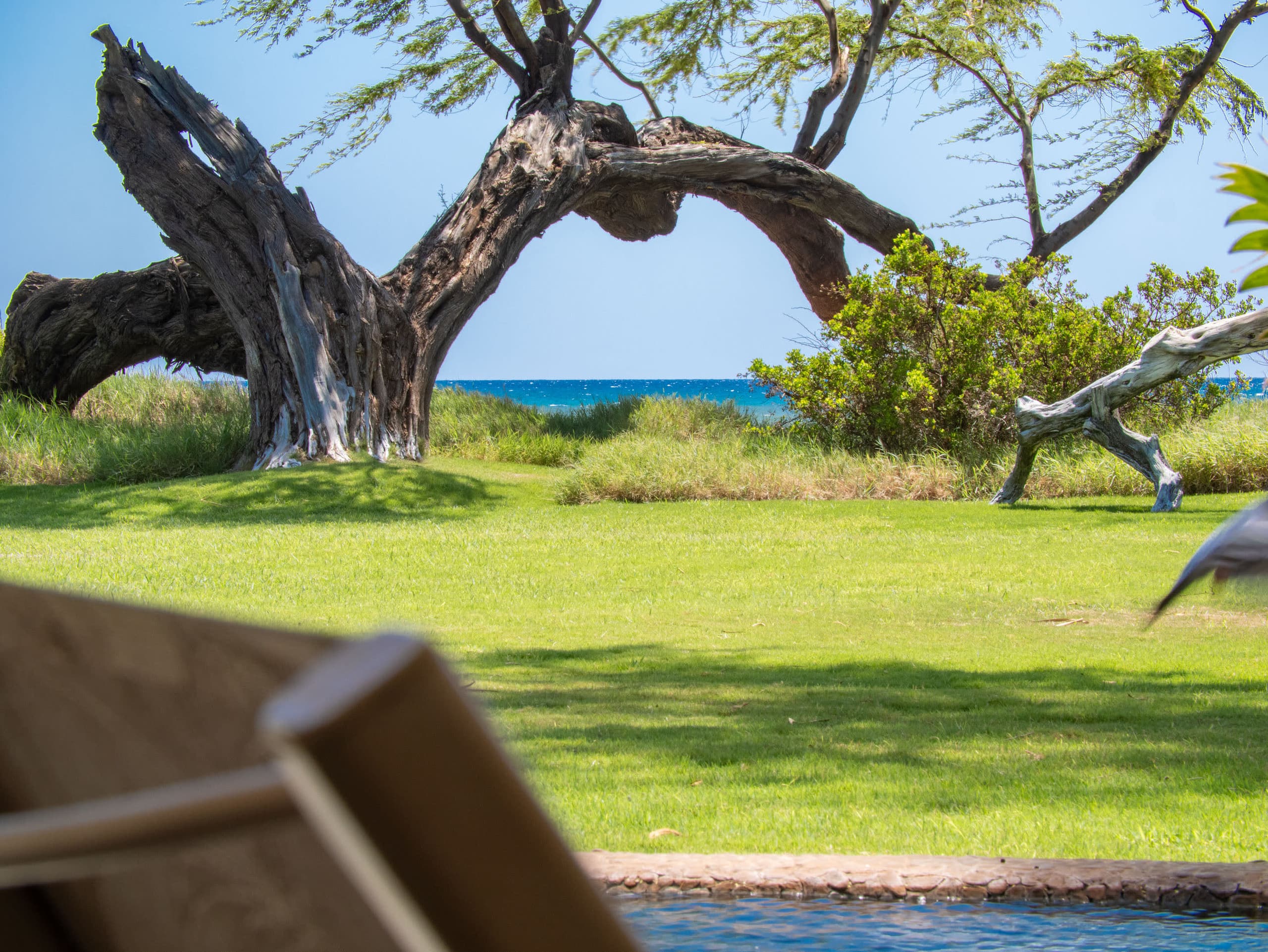 Home in Kihei · ★4.91 · 1 bedroom · 2 beds · 1 bath - Image 5