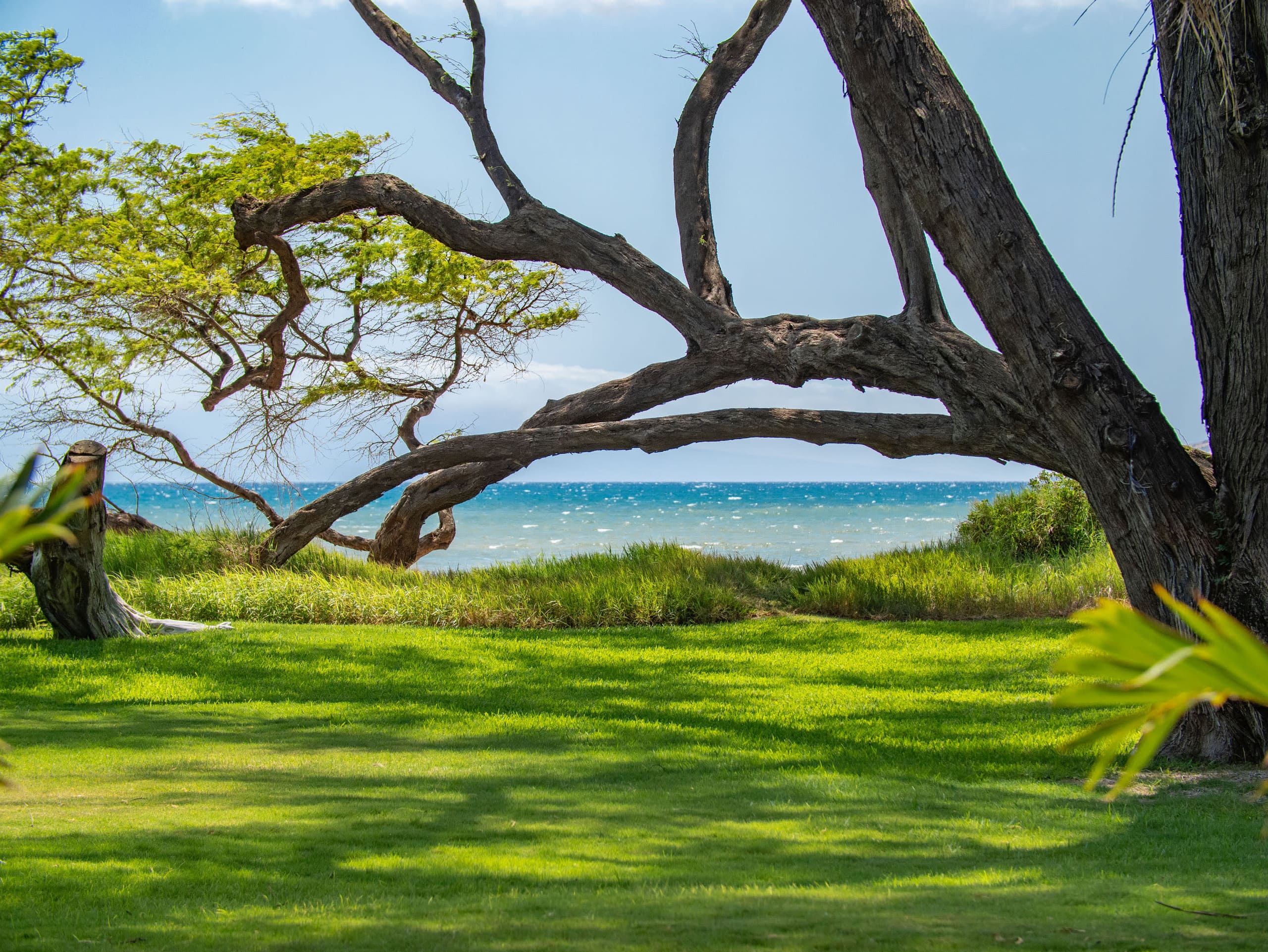 Home in Kihei · ★4.91 · 1 bedroom · 2 beds · 1 bath - Image 8