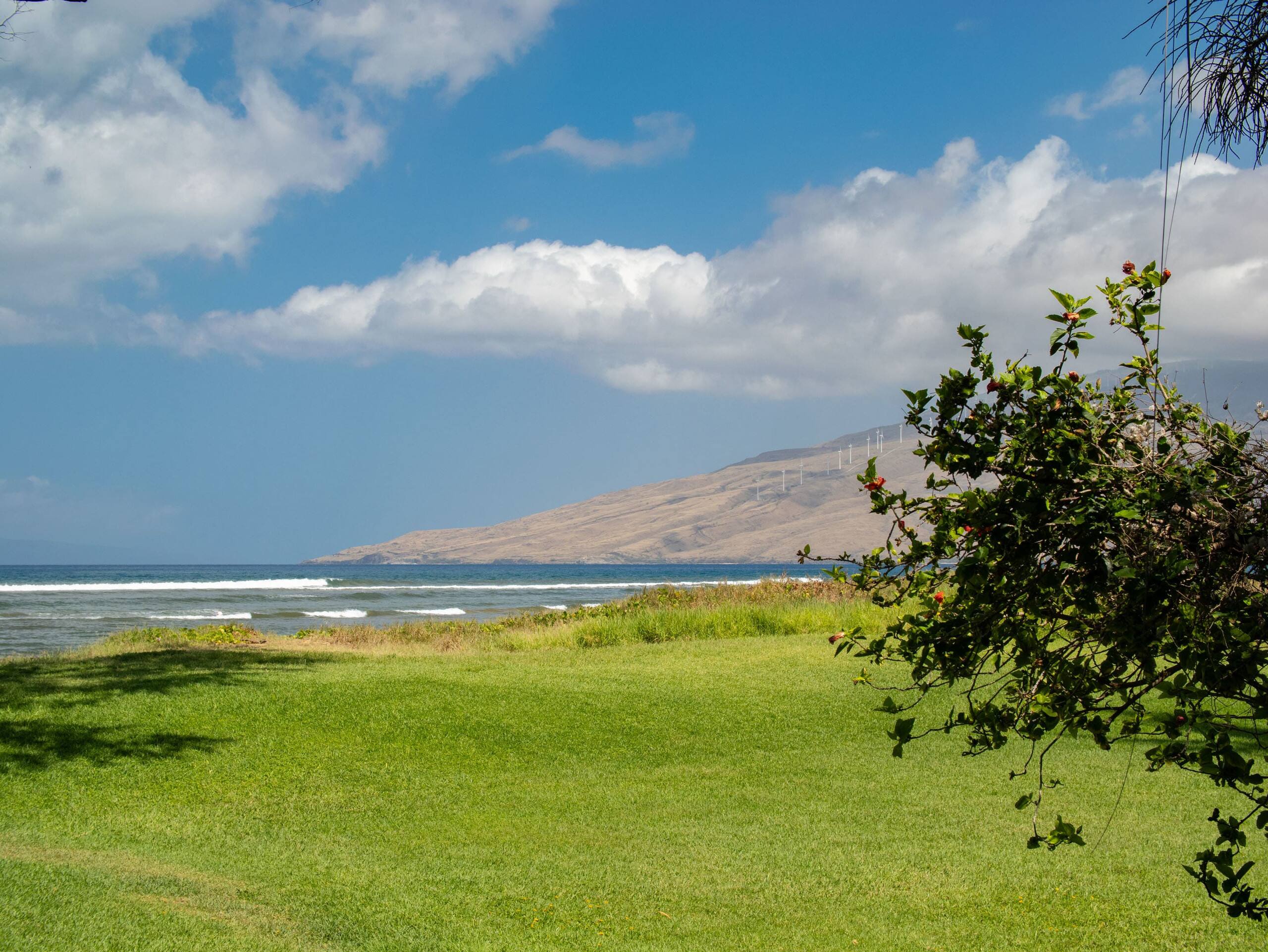 Home in Kihei · ★5.0 · 1 bedroom · 2 beds · 1 bath - Image 7