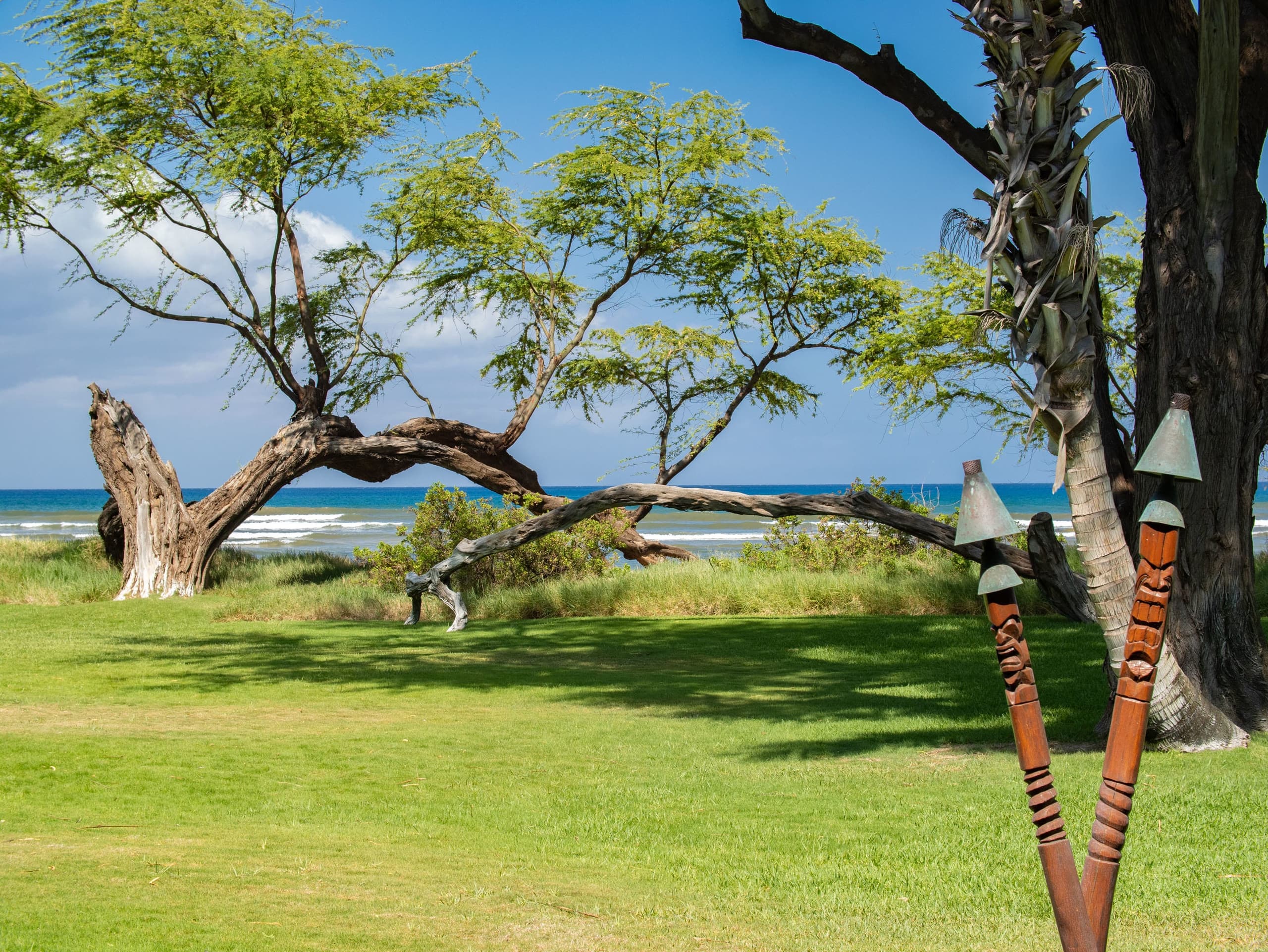 Home in Kihei · ★5.0 · 1 bedroom · 2 beds · 1 bath - Image 10