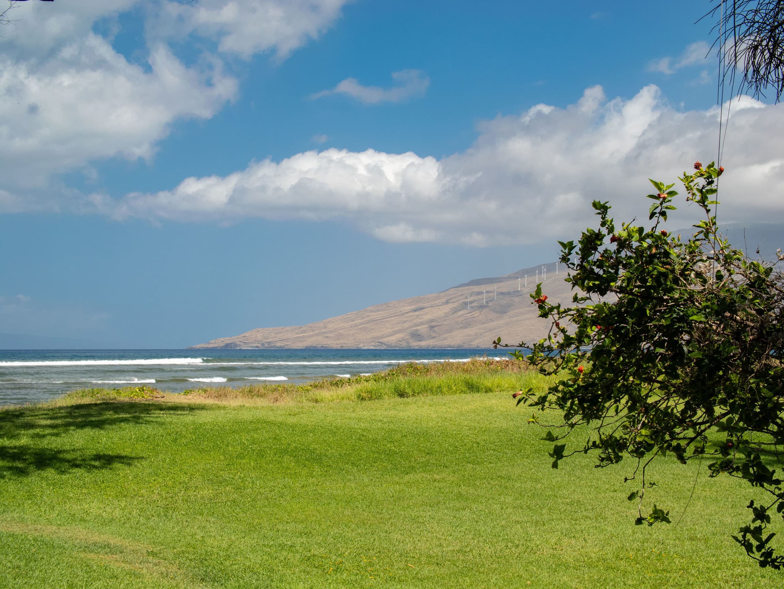 Home in Kihei · ★5.0 · 1 bedroom · 2 beds · 1 bath - Image 11