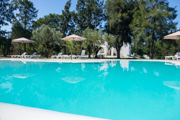 Apartelius
 managed Airbnb listing 3
