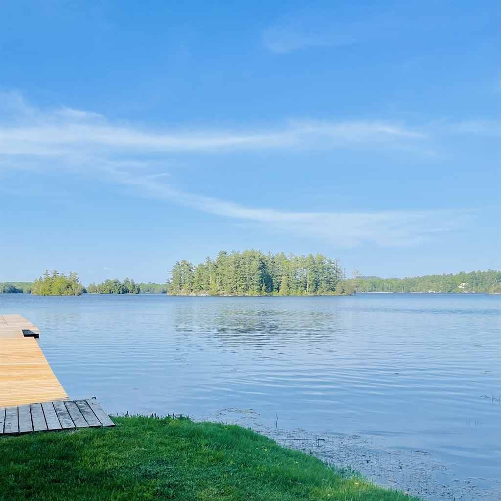 A calm lake is presented, reflecting a clear blue sky. Lush greenery can be seen along the shoreline, with a small island in the distance. A wooden dock extends towards the water, and soft grass lines the edge, creating a serene outdoor space.